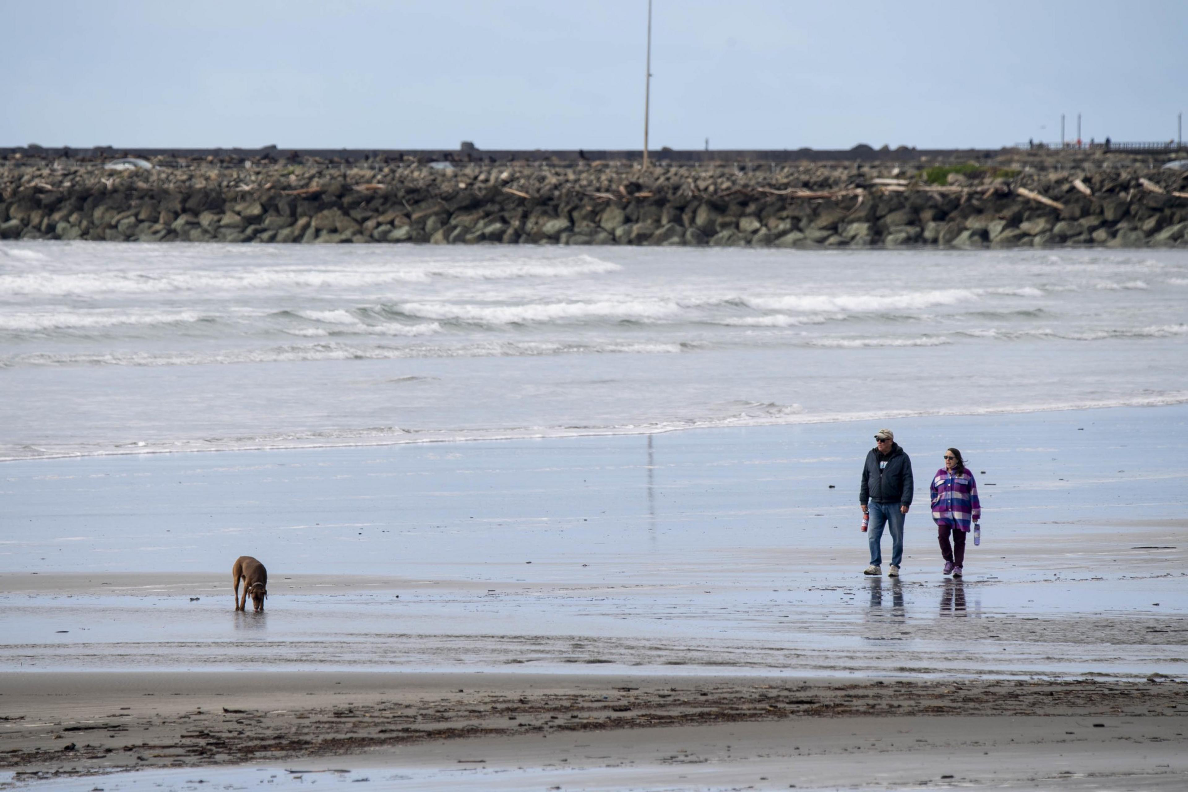 A man and woman walk on a beach with a dog nearby. Waves gently crash, and a rocky breakwater lines the horizon. The sky is overcast.