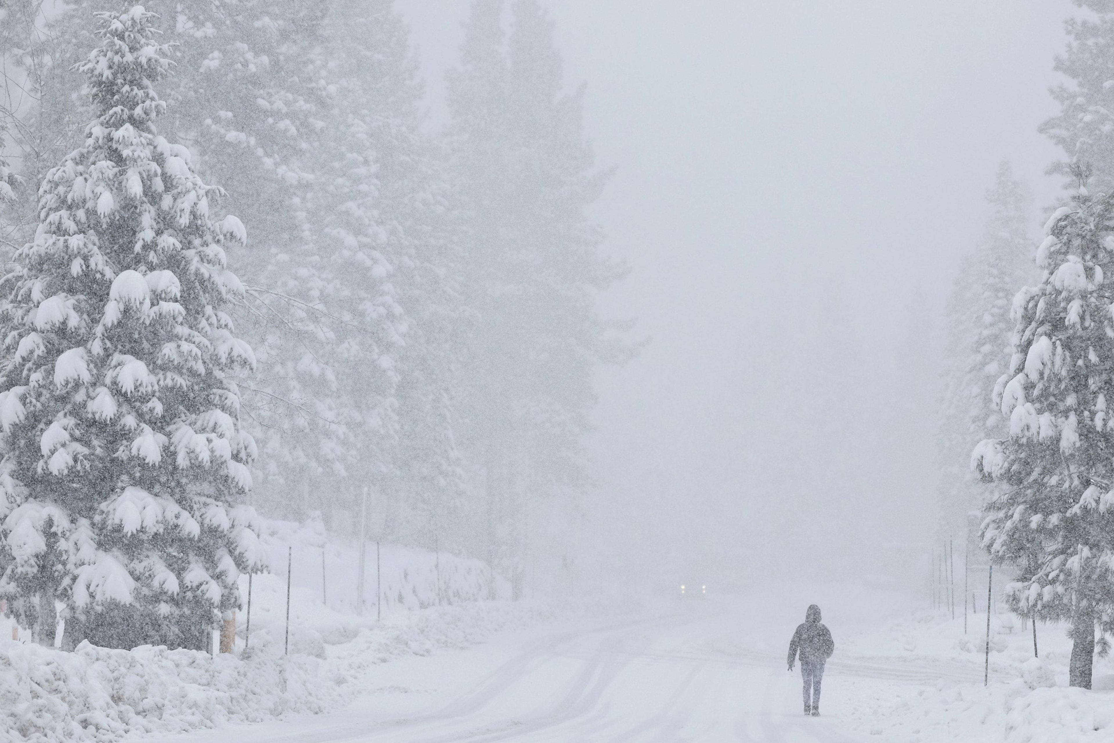 Person walks down road in the snow