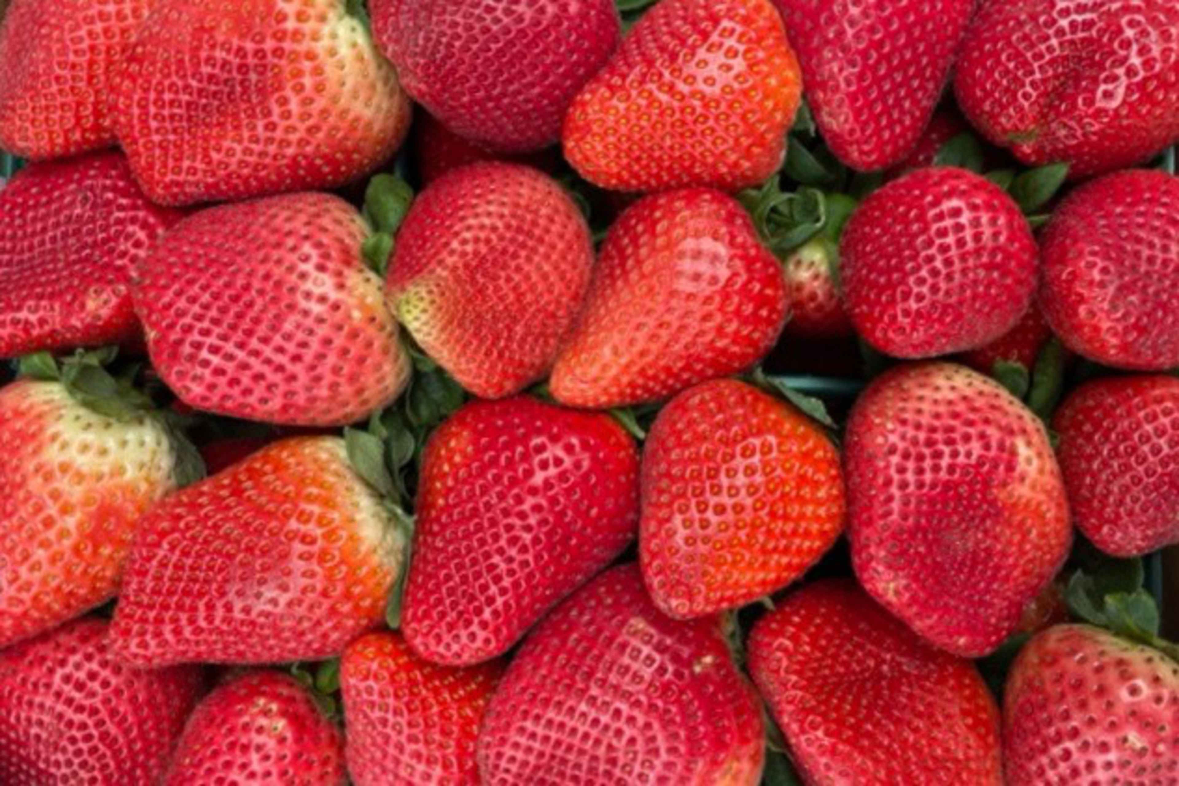 The image shows a cluster of fresh, ripe strawberries closely packed together with vibrant red hues and green leaves visible around some of the strawberries.