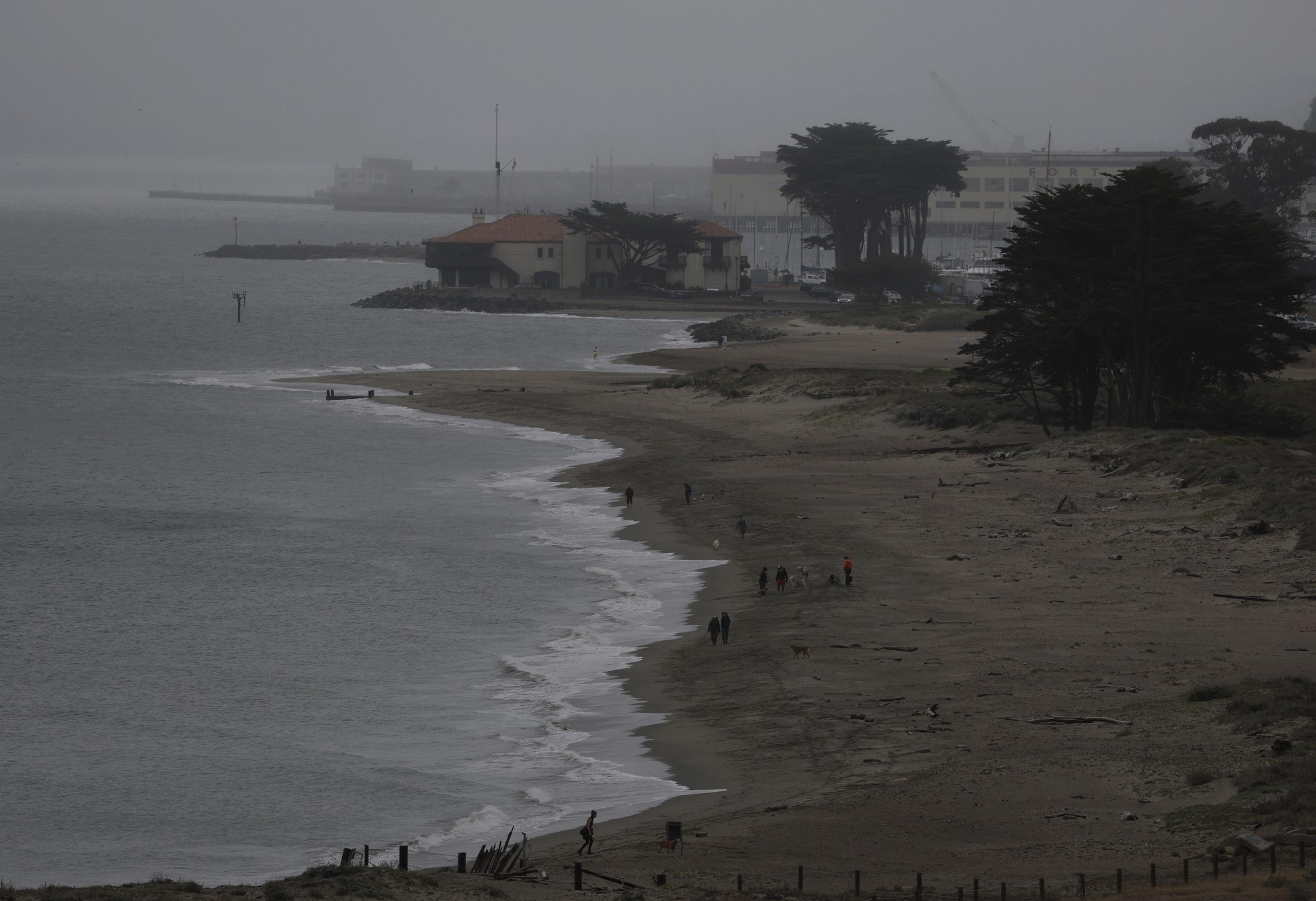 A foggy beach scene with a sandy shore, a few people walking, and scattered trees. Distant buildings and a misty skyline are visible in the background.