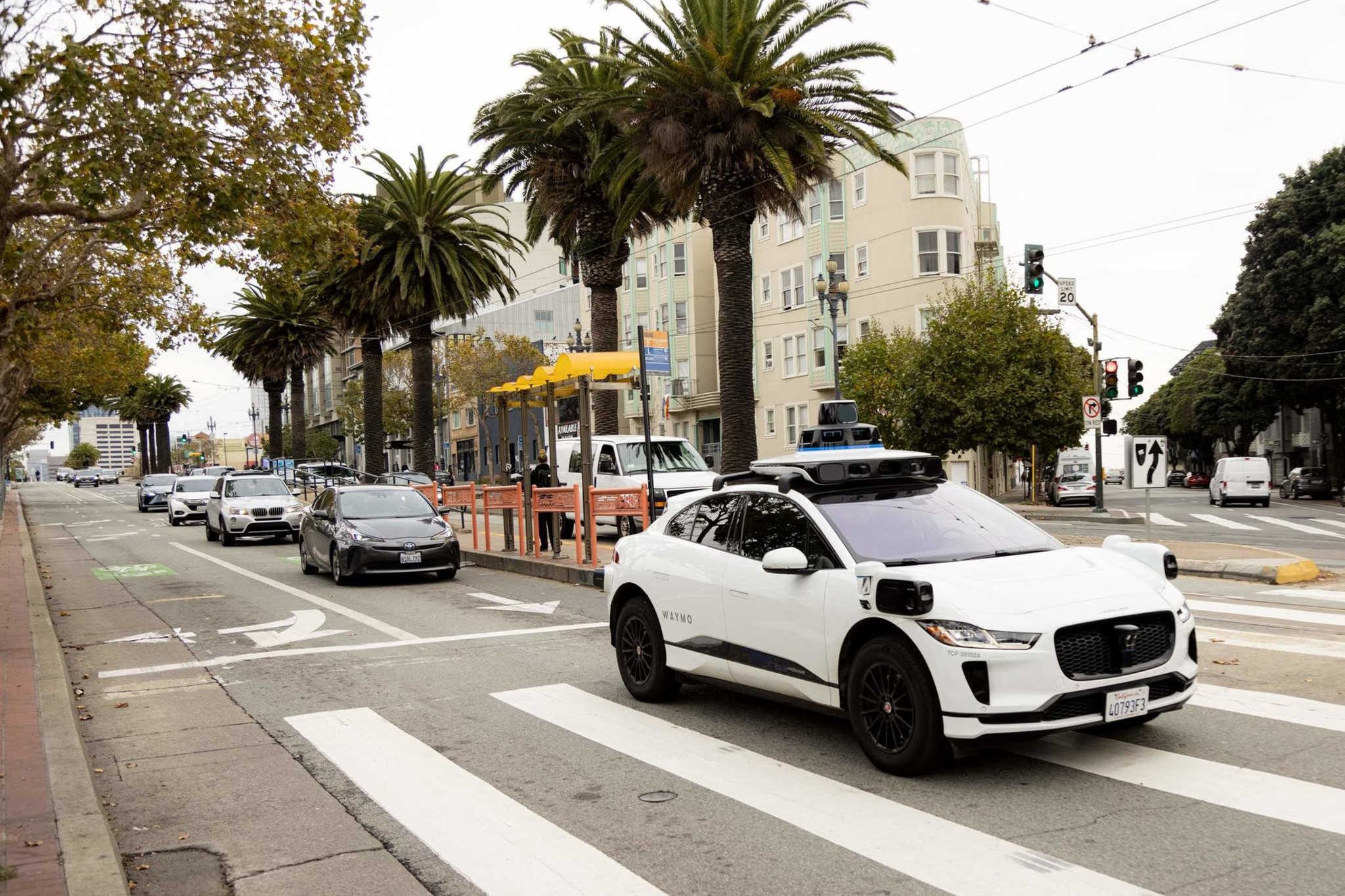 A white autonomous Waymo vehicle drives across a pedestrian crosswalk on a city street lined with palm trees and several other cars waiting.