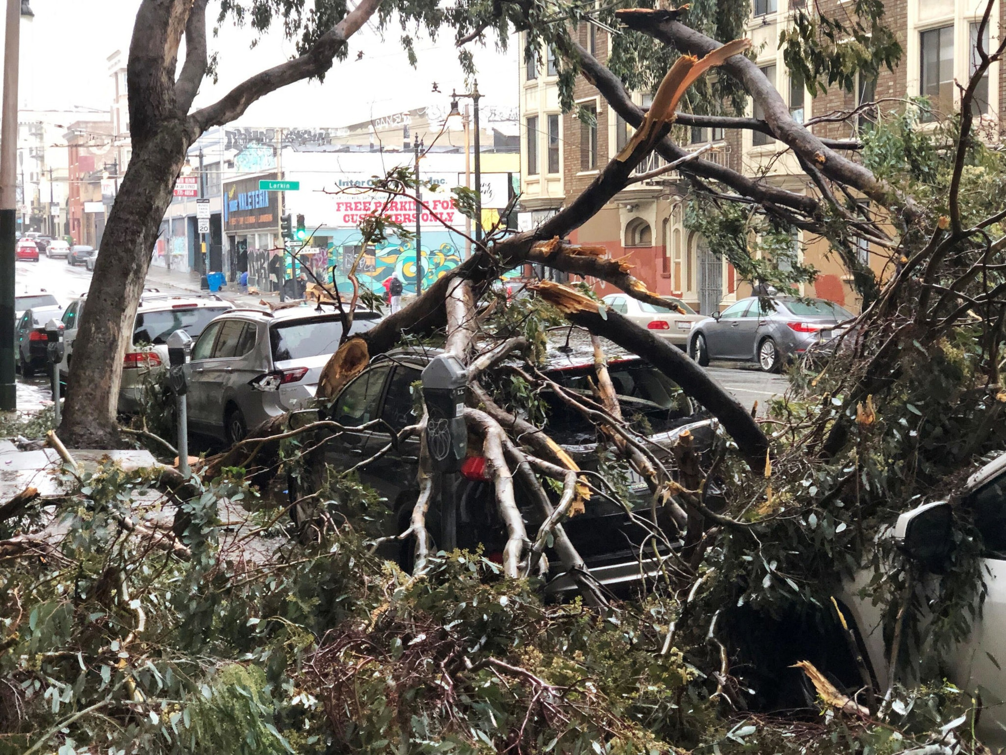 Several cars on a city street are severely damaged and covered by large broken tree branches and debris.