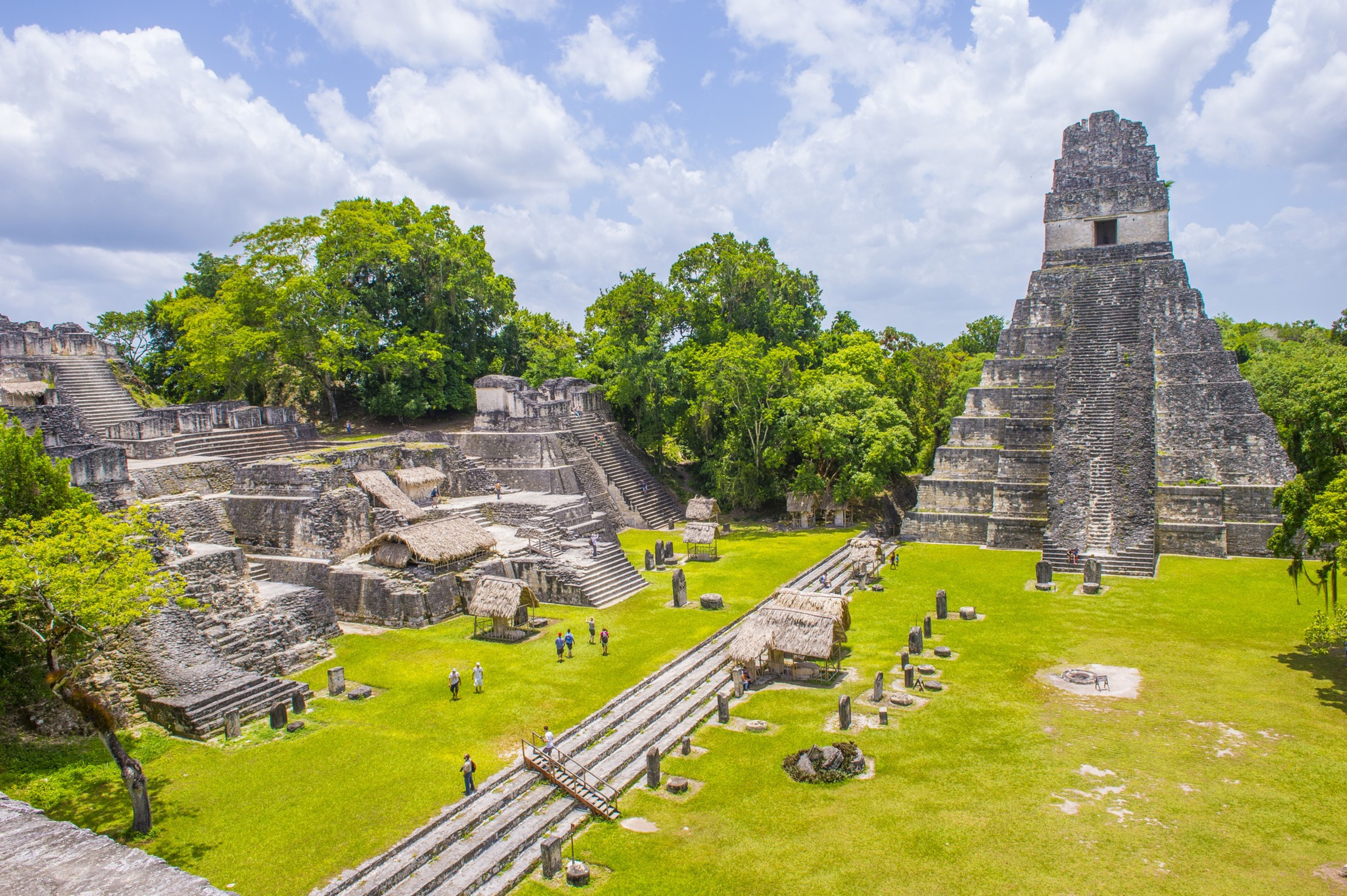 Pyramids with grass and trees. 