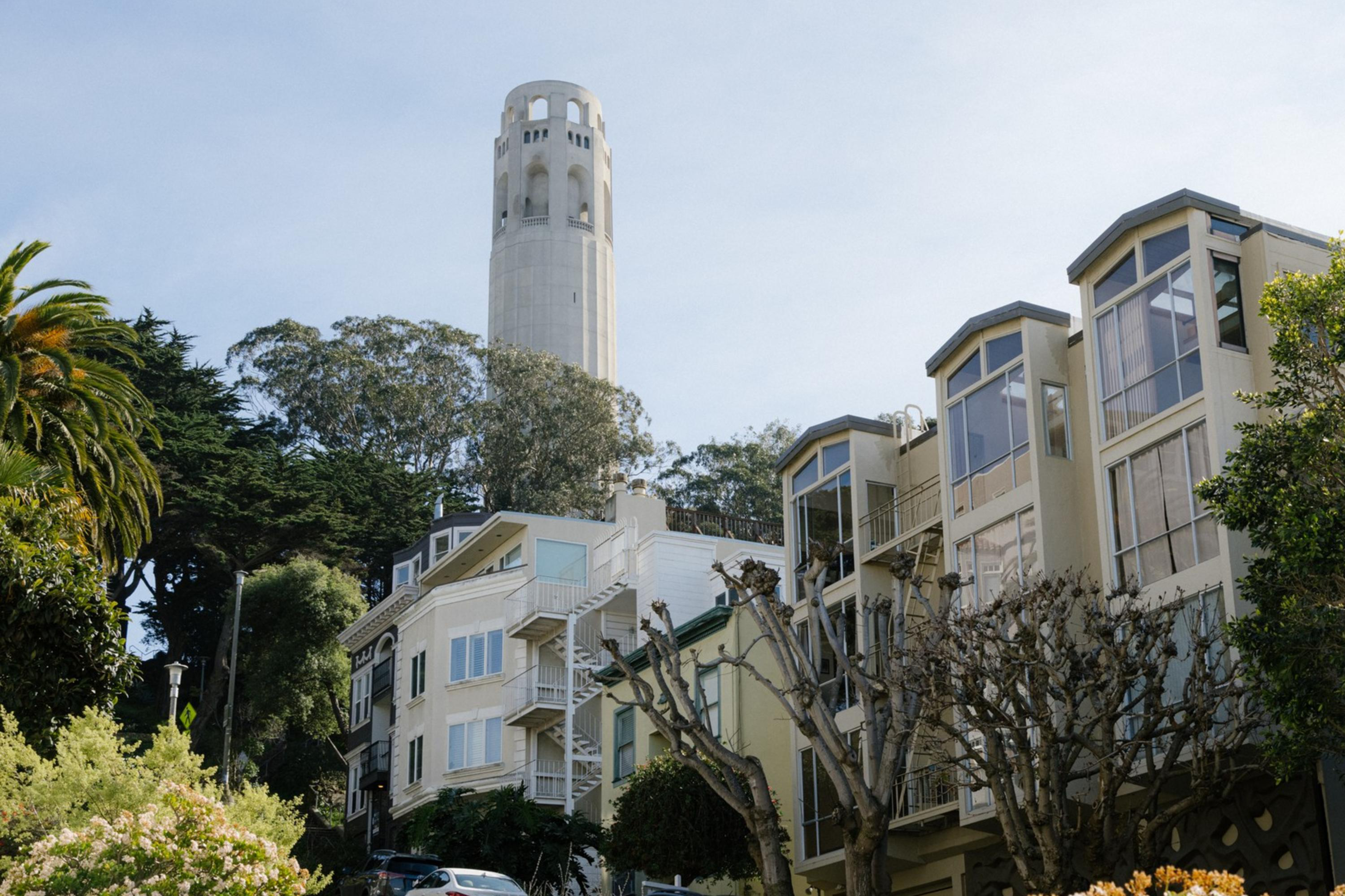 A cityscape with Coit Tower atop a hill, flanked by trees and terraced modern houses under a clear sky.