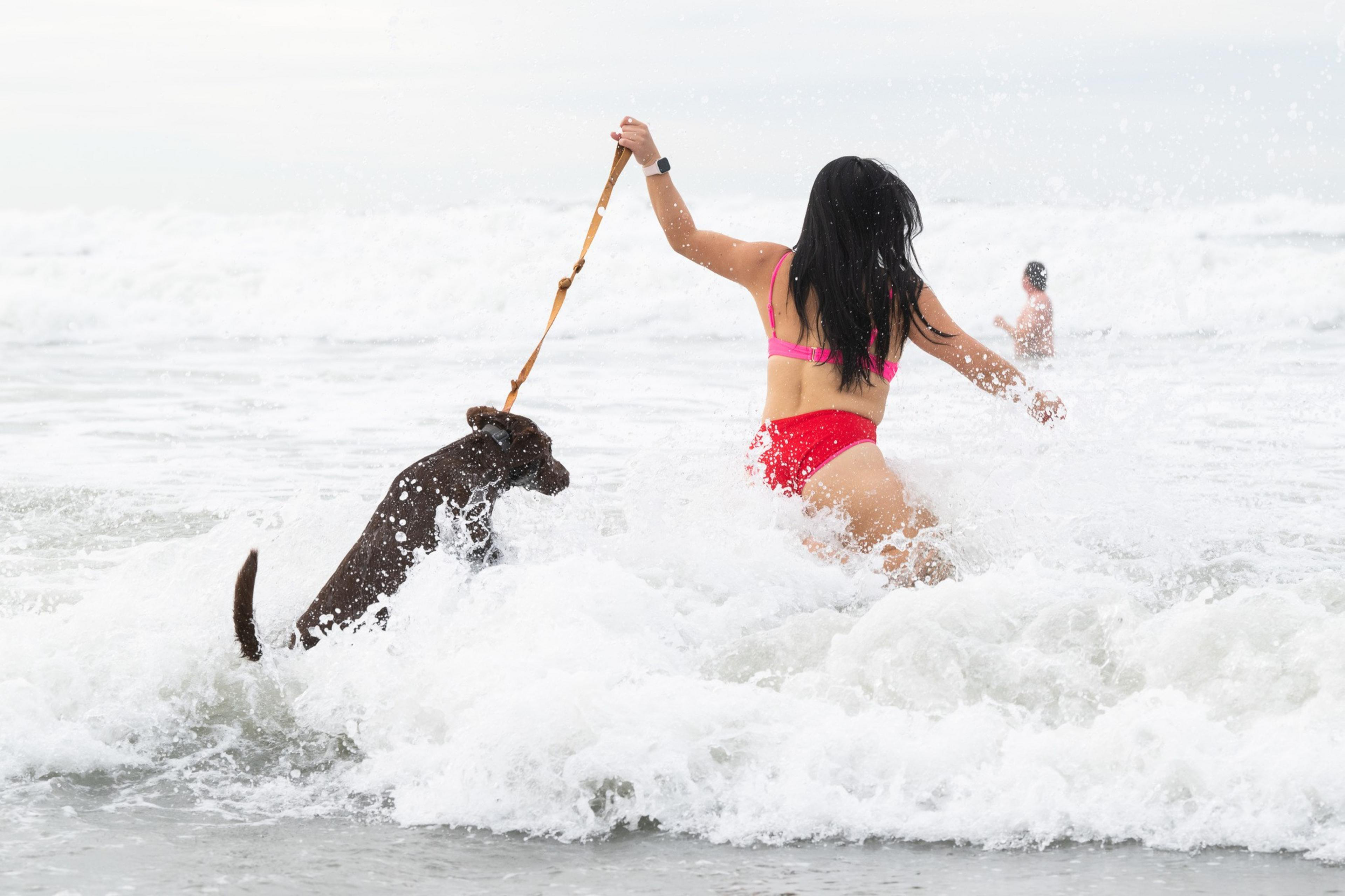 A woman in a red bikini is playing in the ocean waves with a brown dog on a leash. Another person is swimming in the background.