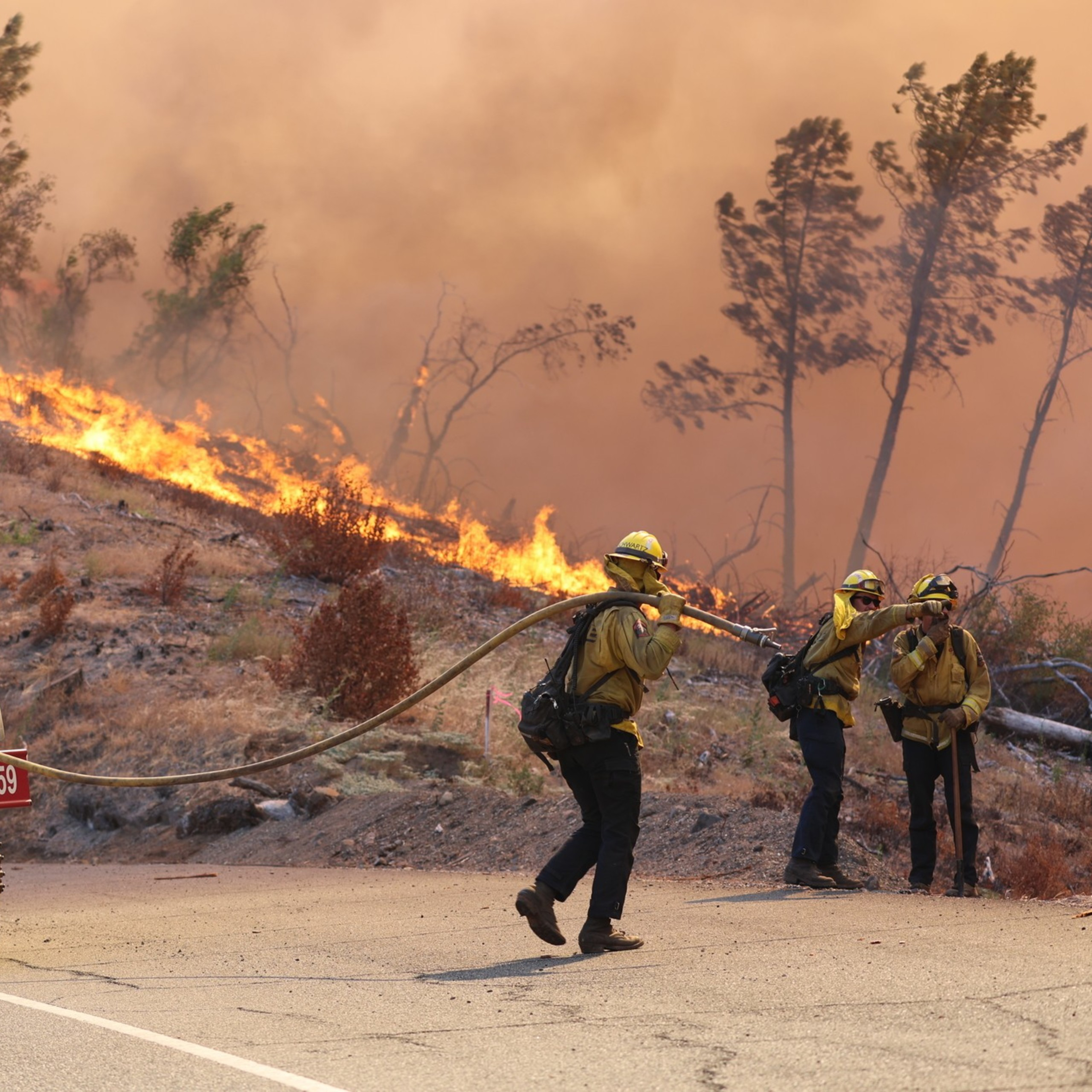 Three firefighters pull a hose from a red fire truck towards a hillside ablaze, with flames and smoke engulfing dry vegetation and surrounding trees.