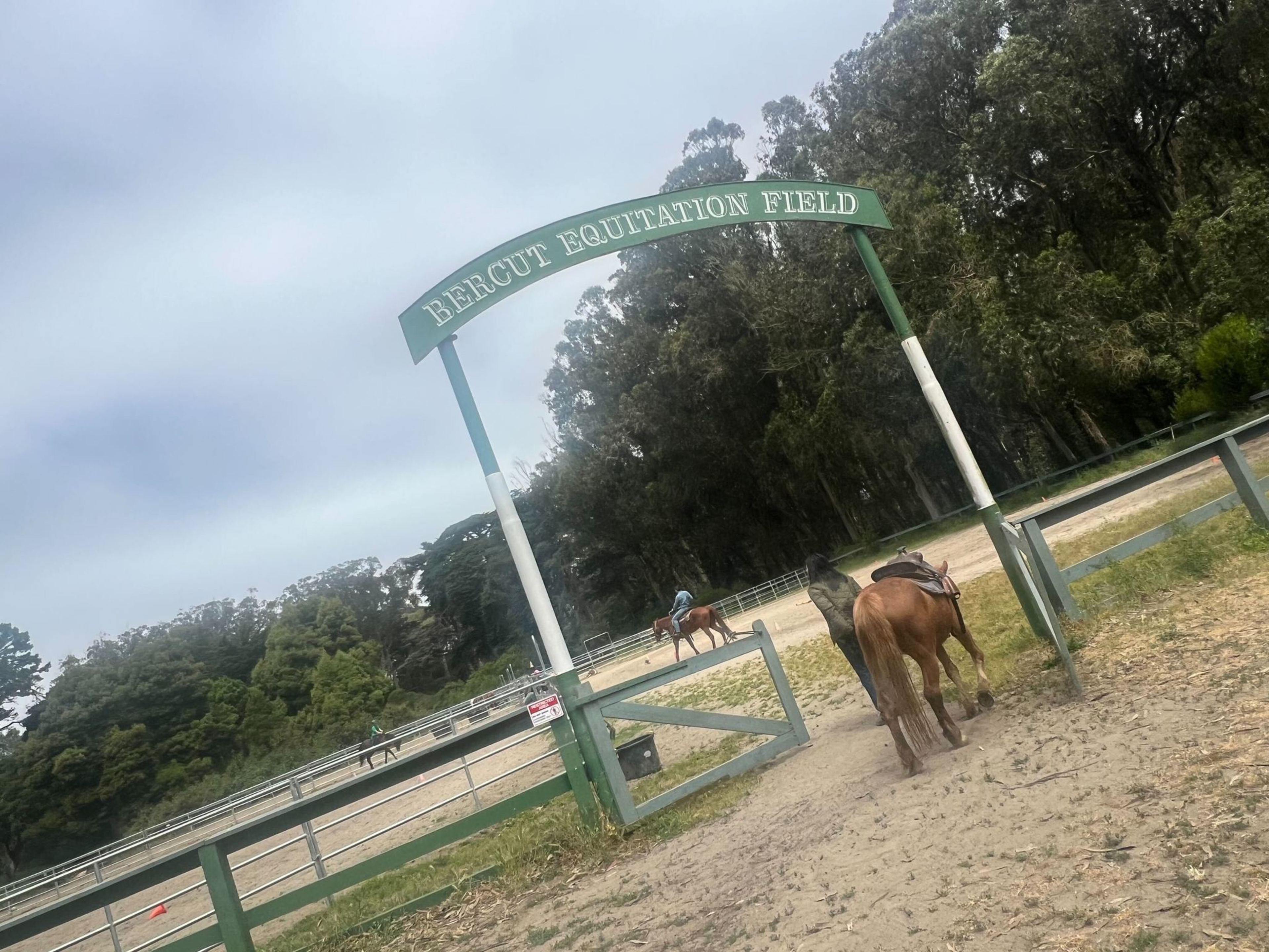 A sign reading &quot;Bercut Equitation Field&quot; arcs over a gate, behind which are horses and riders in a sandy field, surrounded by dense trees.