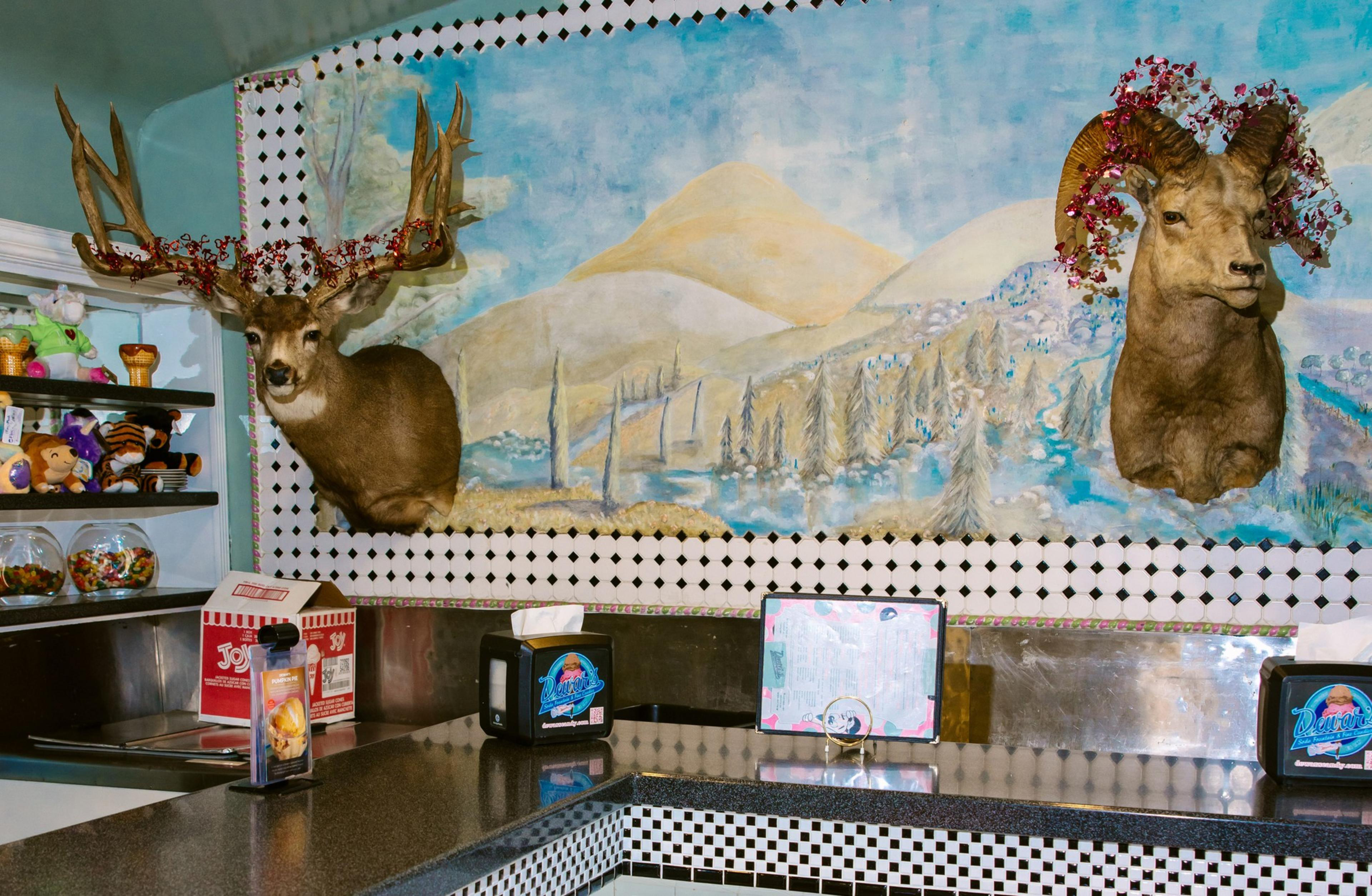 A diner counter features decorated deer heads, vibrant with flowers, against a mountainous mural. Nearby, shelves hold colorful stuffed animals and candy jars.
