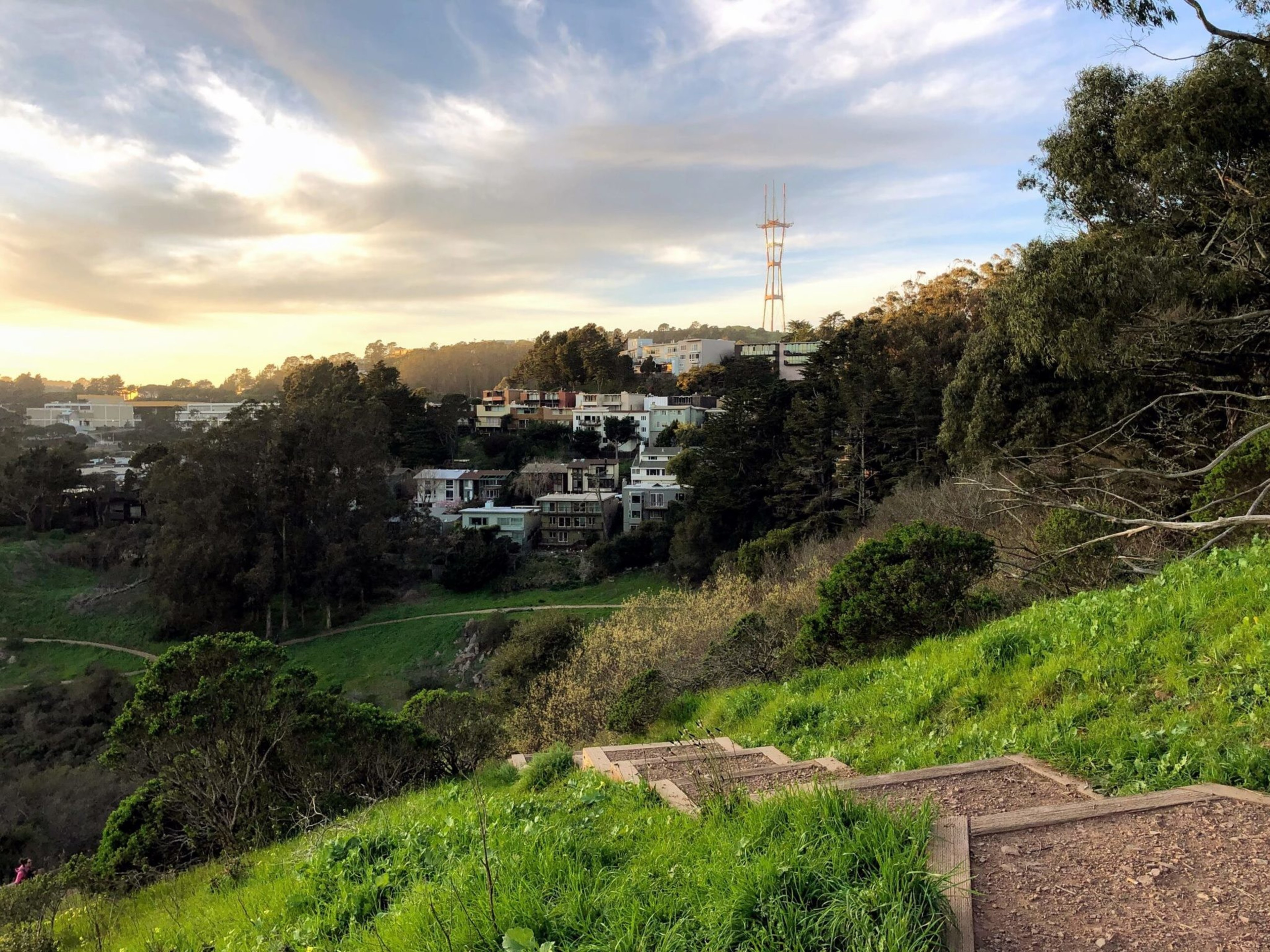 A grassy hillside with wooden steps leads to a view of a tree-filled neighborhood under a sky with wispy clouds. A tall antenna structure is visible in the distance.