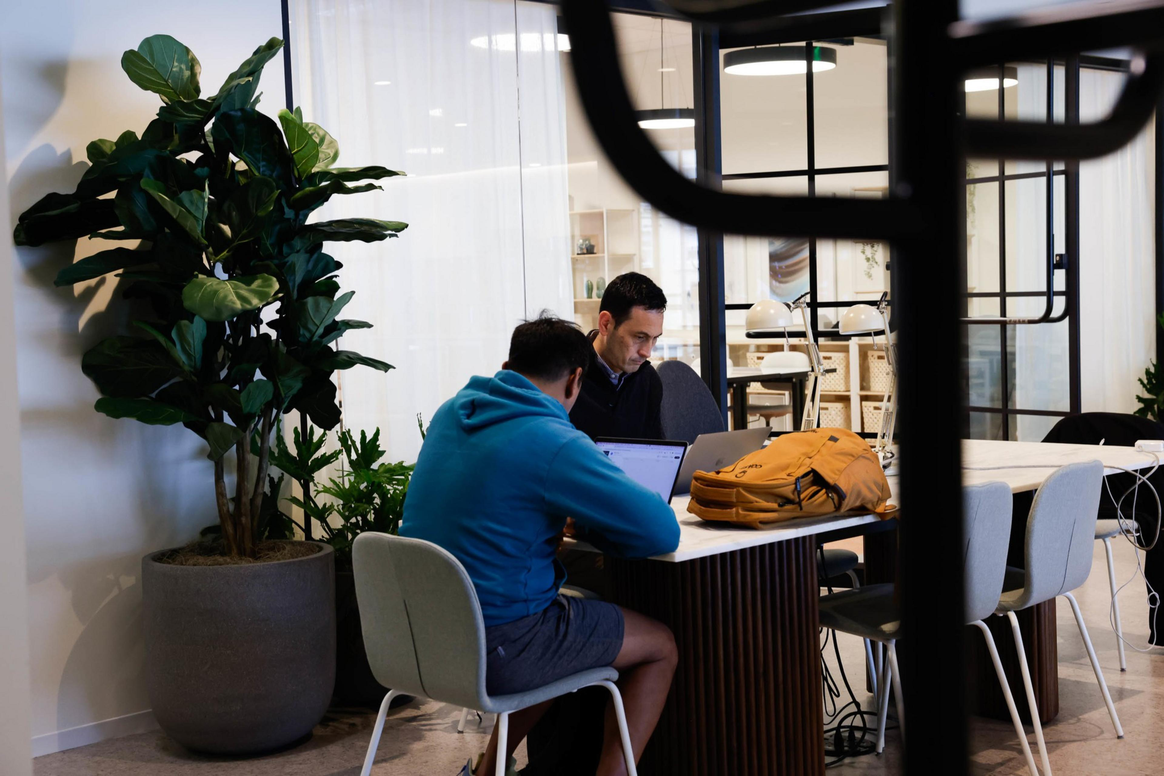 Two people are working at a table in a modern office, with laptops and a plant nearby.