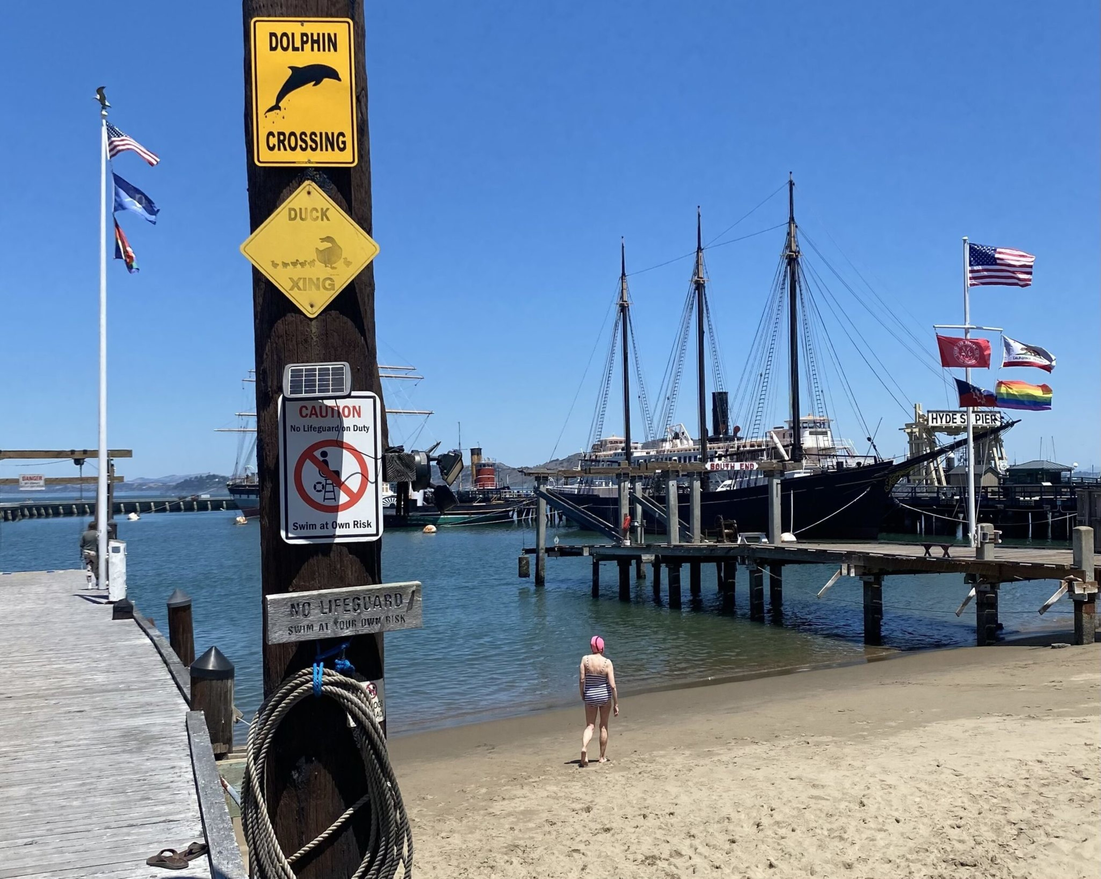 A person walks on a beach towards a pier with a ship; signs warn about no lifeguards and humorously indicate animal crossings.