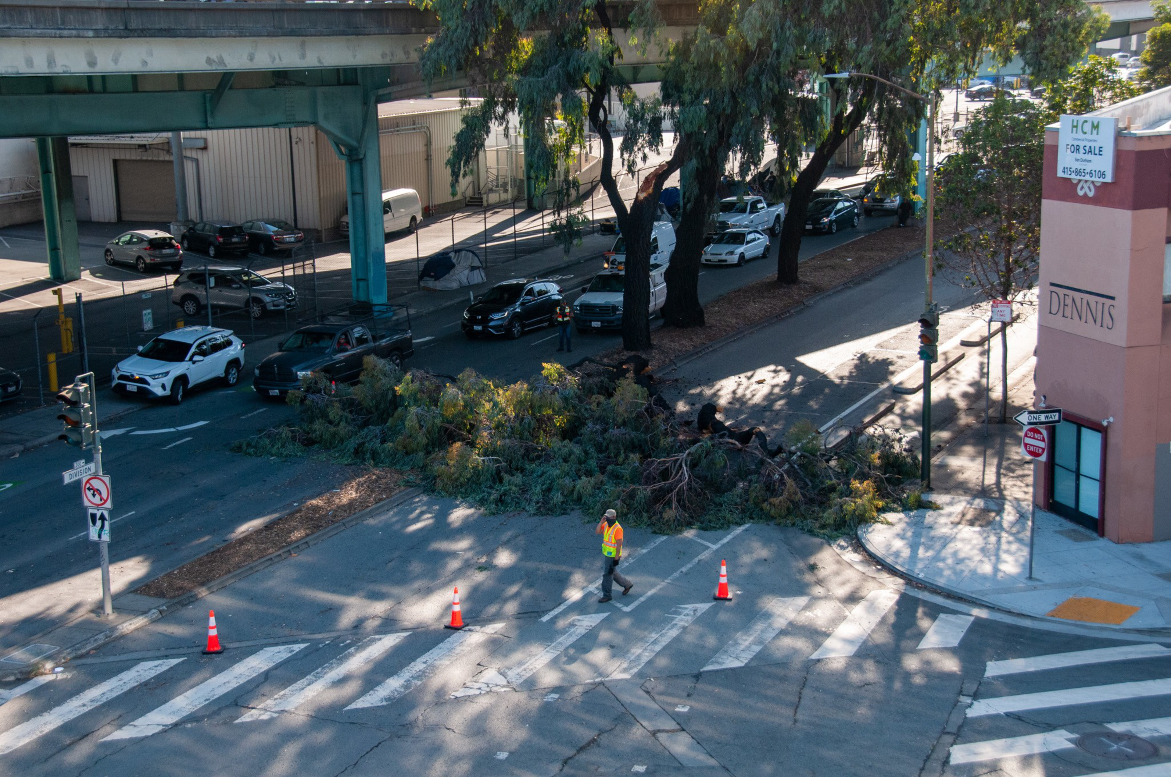 A large tree blocks one side of Division and 10th streets in San Francisco, Calif. on Sept. 6, 2022. | Sophie Bearman/The Standard