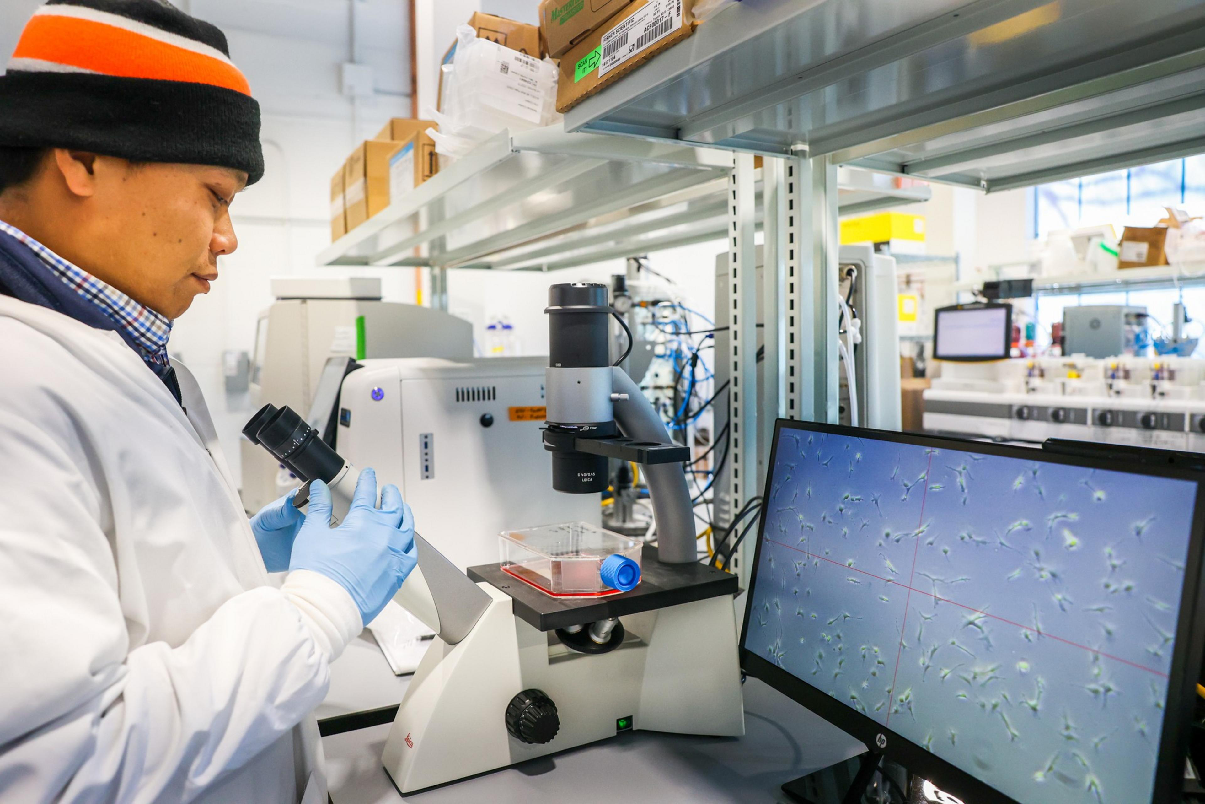 A scientist in a lab coat and gloves adjusts a microscope while viewing microorganisms displayed on a nearby computer screen in a busy laboratory.
