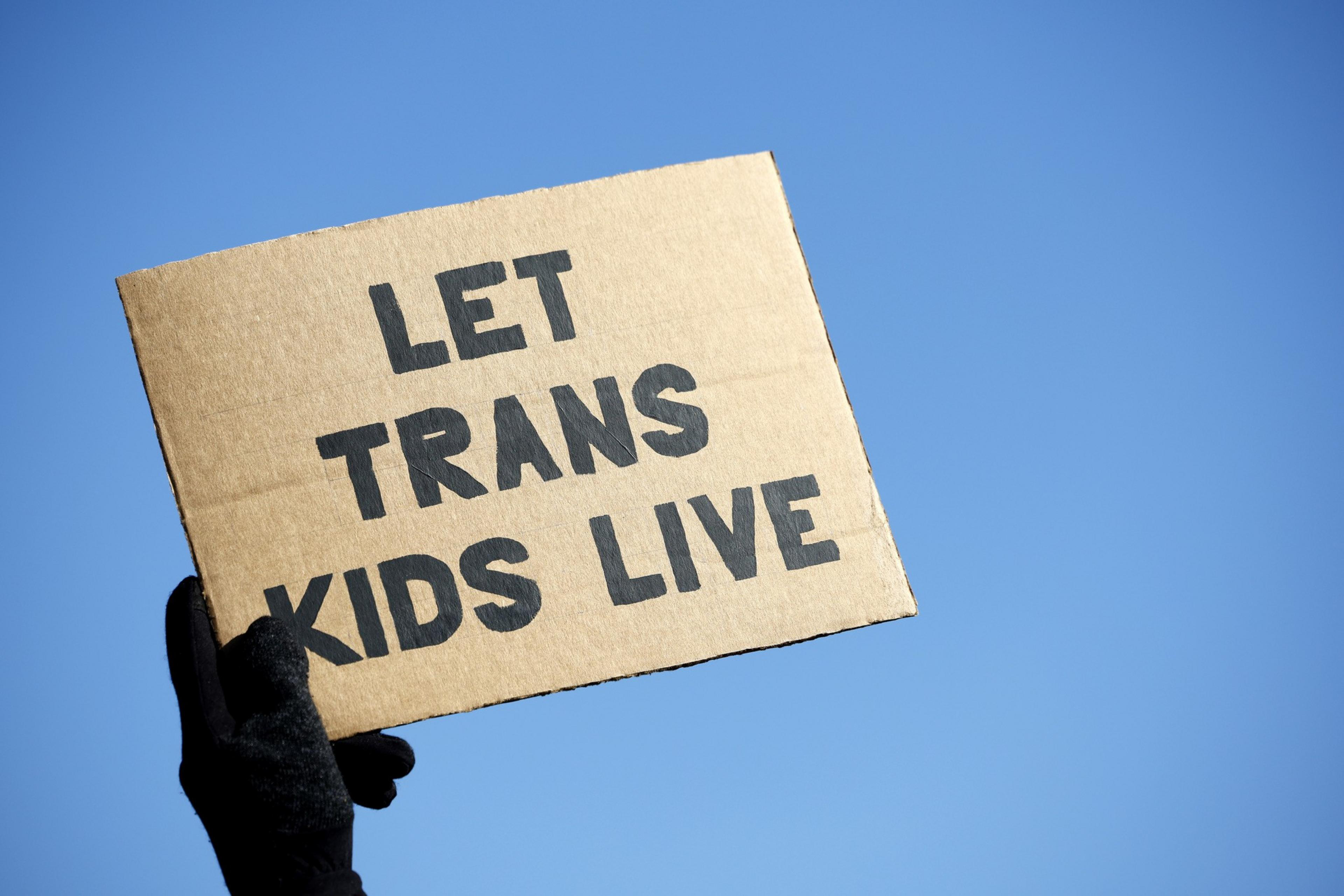 A hand in a black glove holds a cardboard sign with &quot;LET TRANS KIDS LIVE&quot; in bold, black letters, set against a clear blue sky.