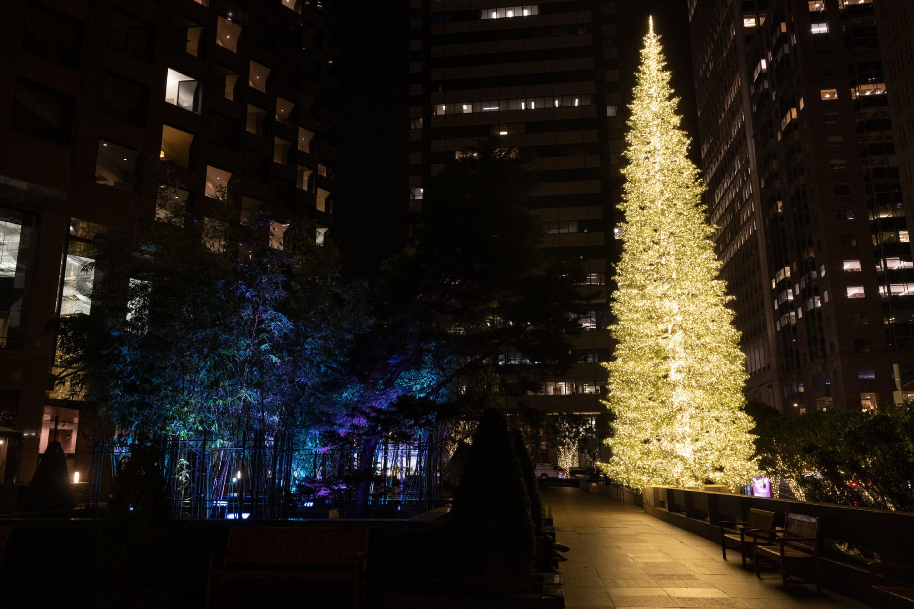A tall Christmas tree covered in bright golden lights stands illuminated between dark, tall buildings with some benches along the walkway.