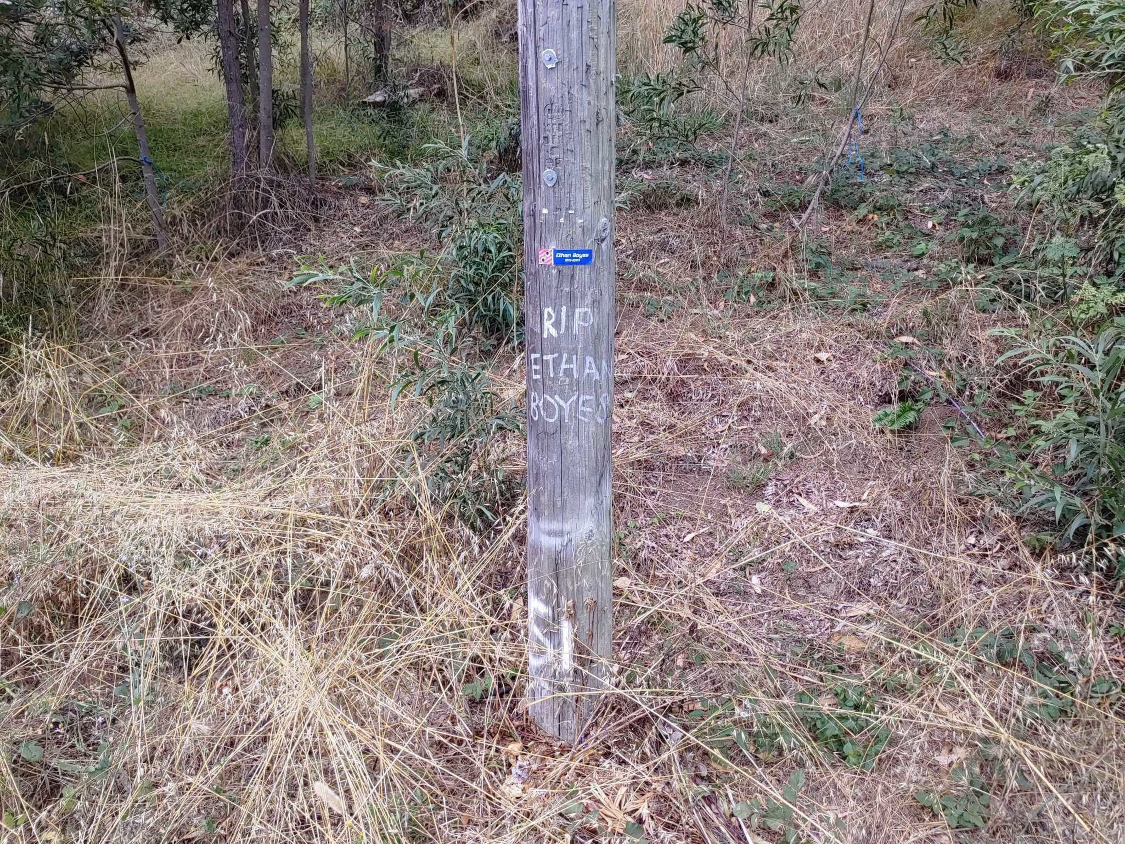 A weathered wooden pole stands among dry grass and shrubs, with "RIP ETHAN BOYER" handwritten in white paint on it.
