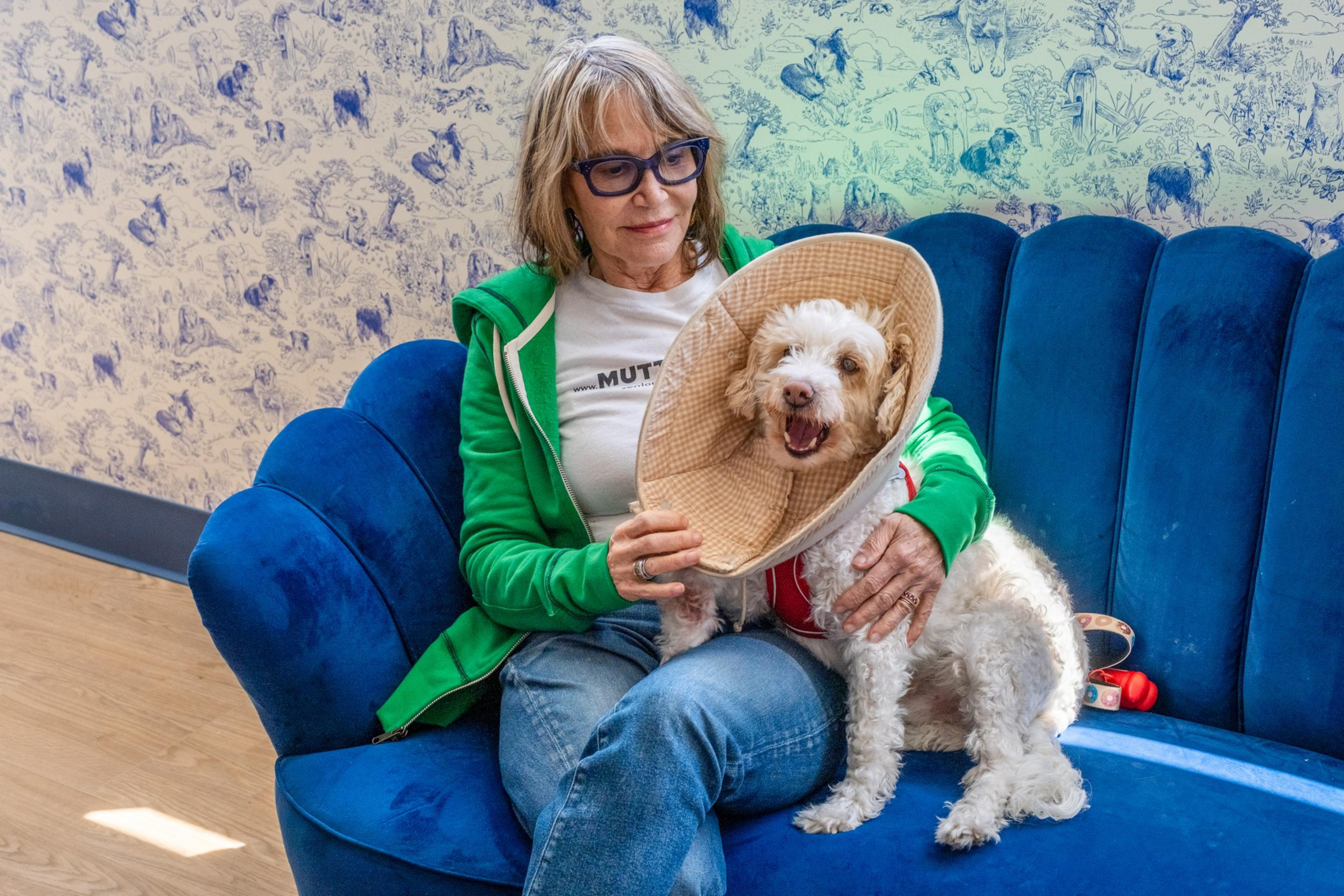 A woman with glasses and a green hoodie sits on a blue couch holding a dog wearing a cone around its head, against a whimsical blue and white wallpaper.