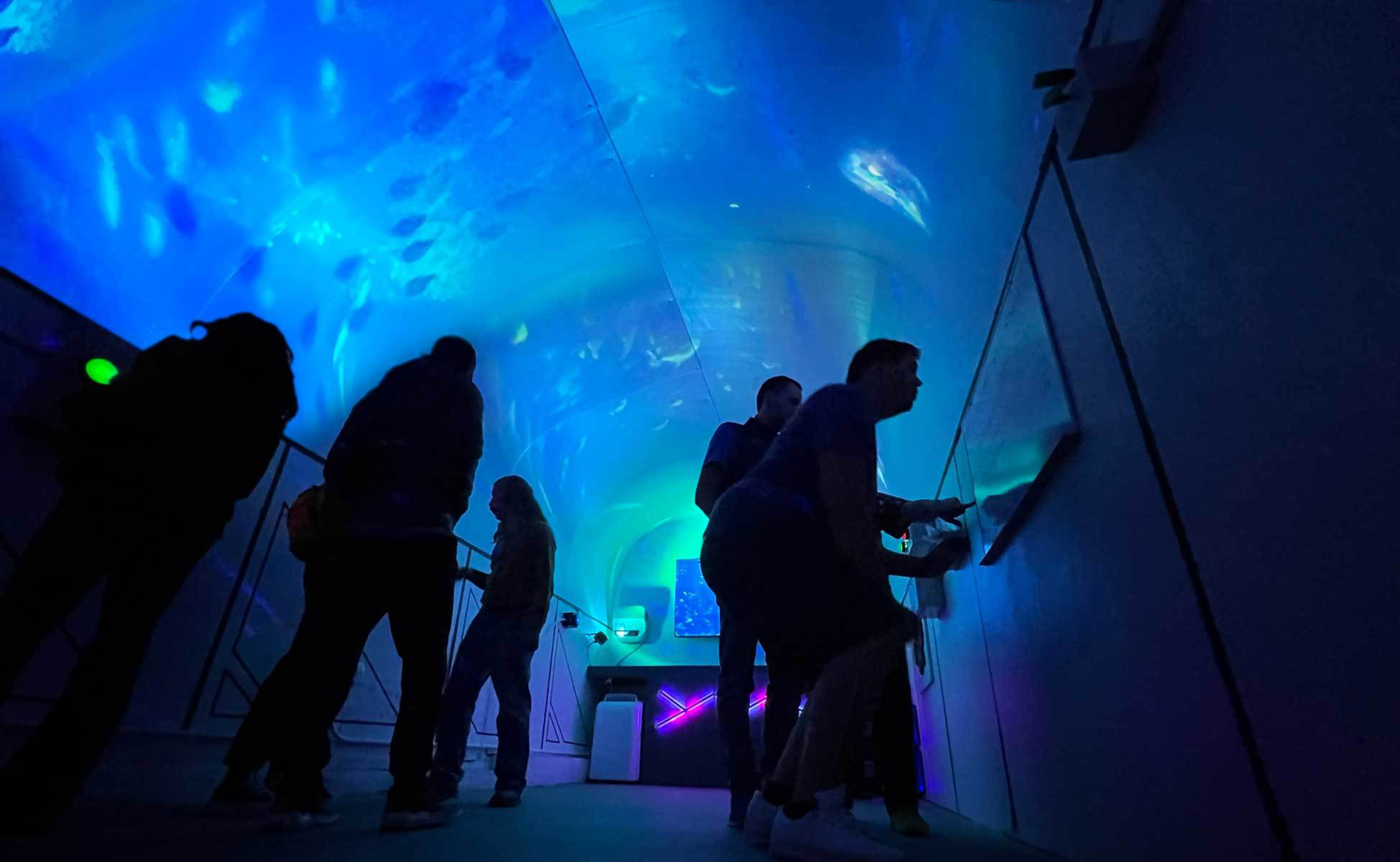 Several people in a dimly-lit room with bright blue patterns on the walls.