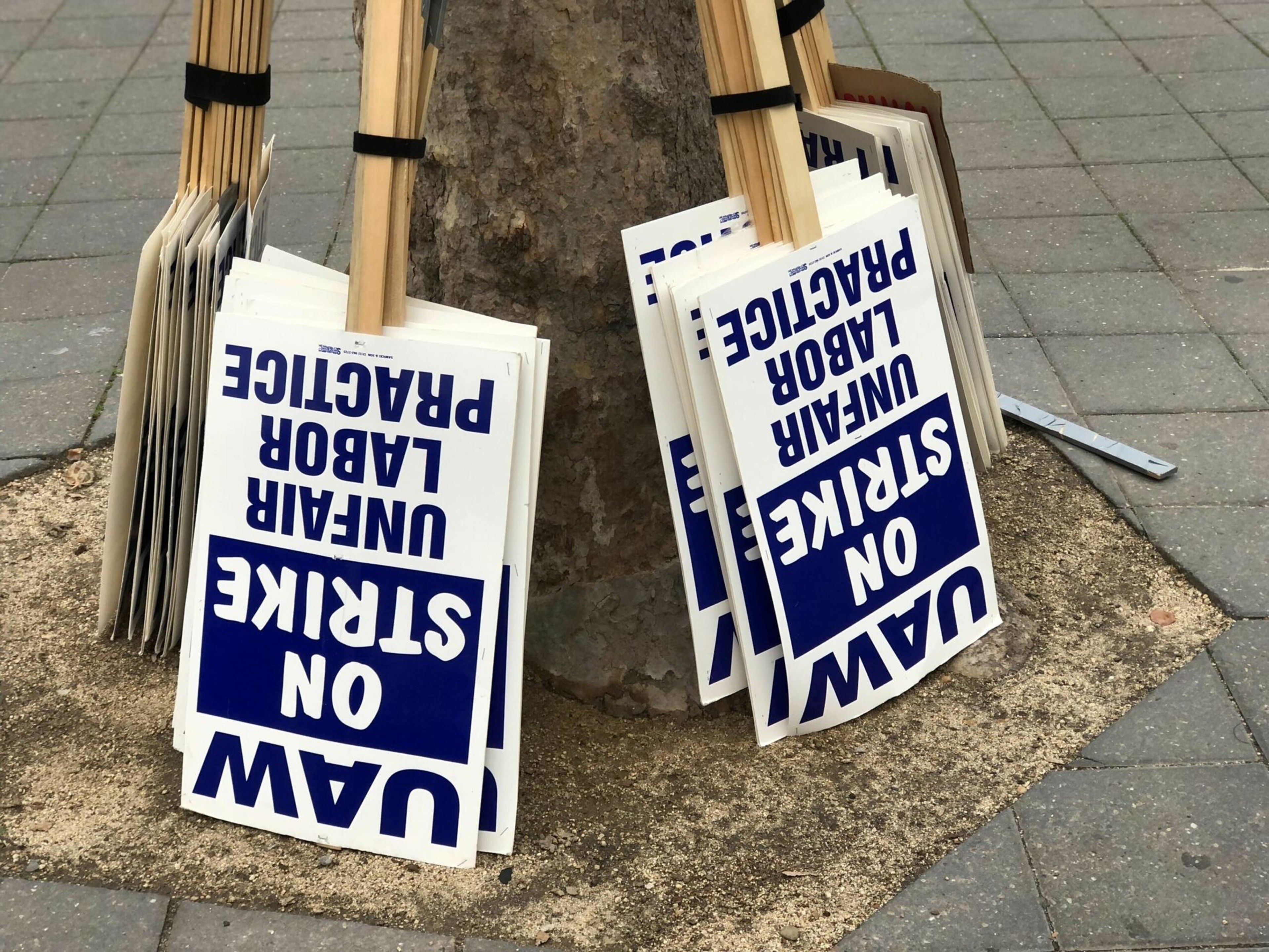 Signs with wooden handles leaning against a tree, reading "UAW ON STRIKE UNFAIR LABOR PRACTICE" in blue and white.
