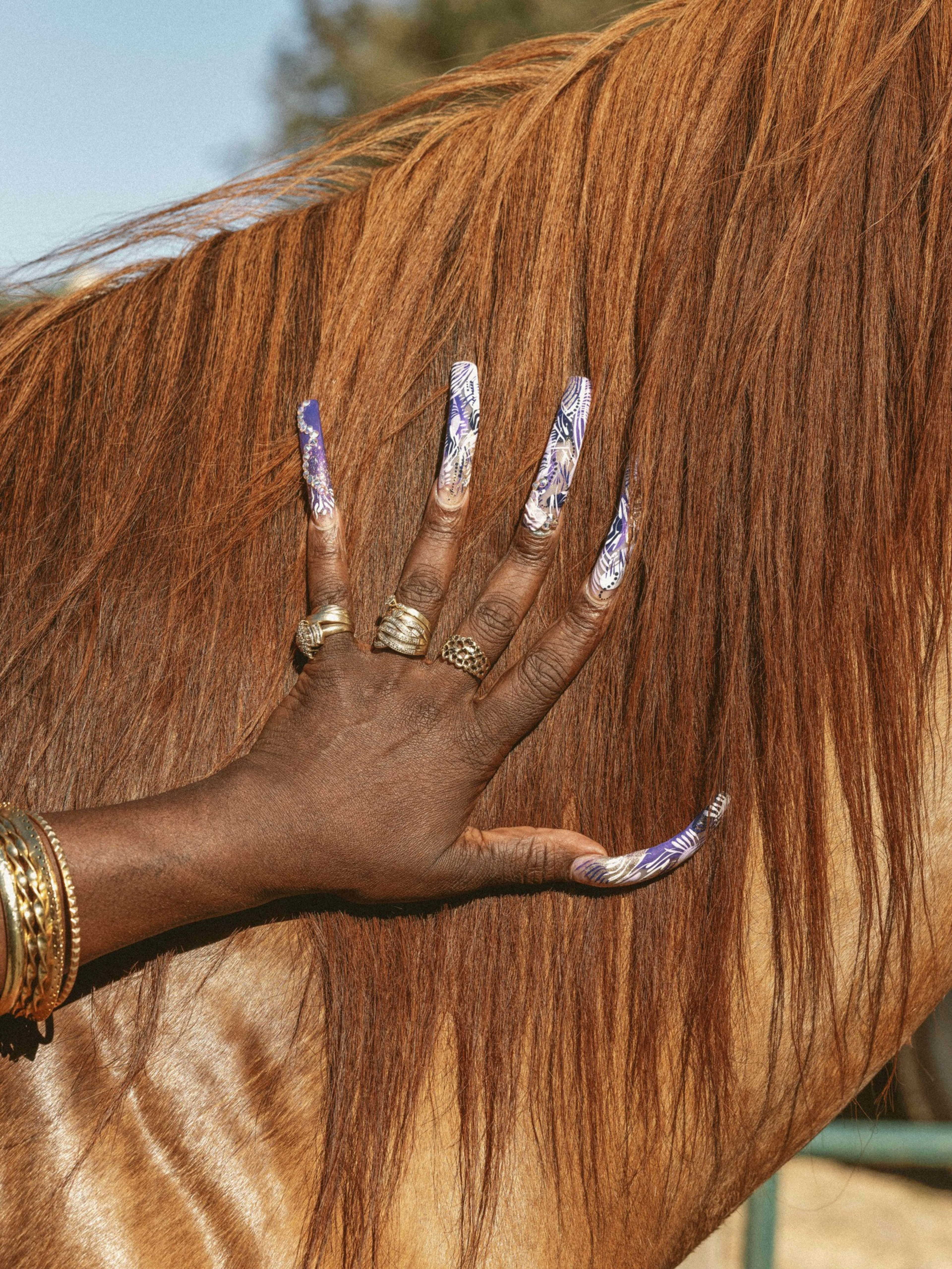 A hand with long, decorated nails and rings gently touches a horse's reddish-brown mane, with a clear sky in the background.