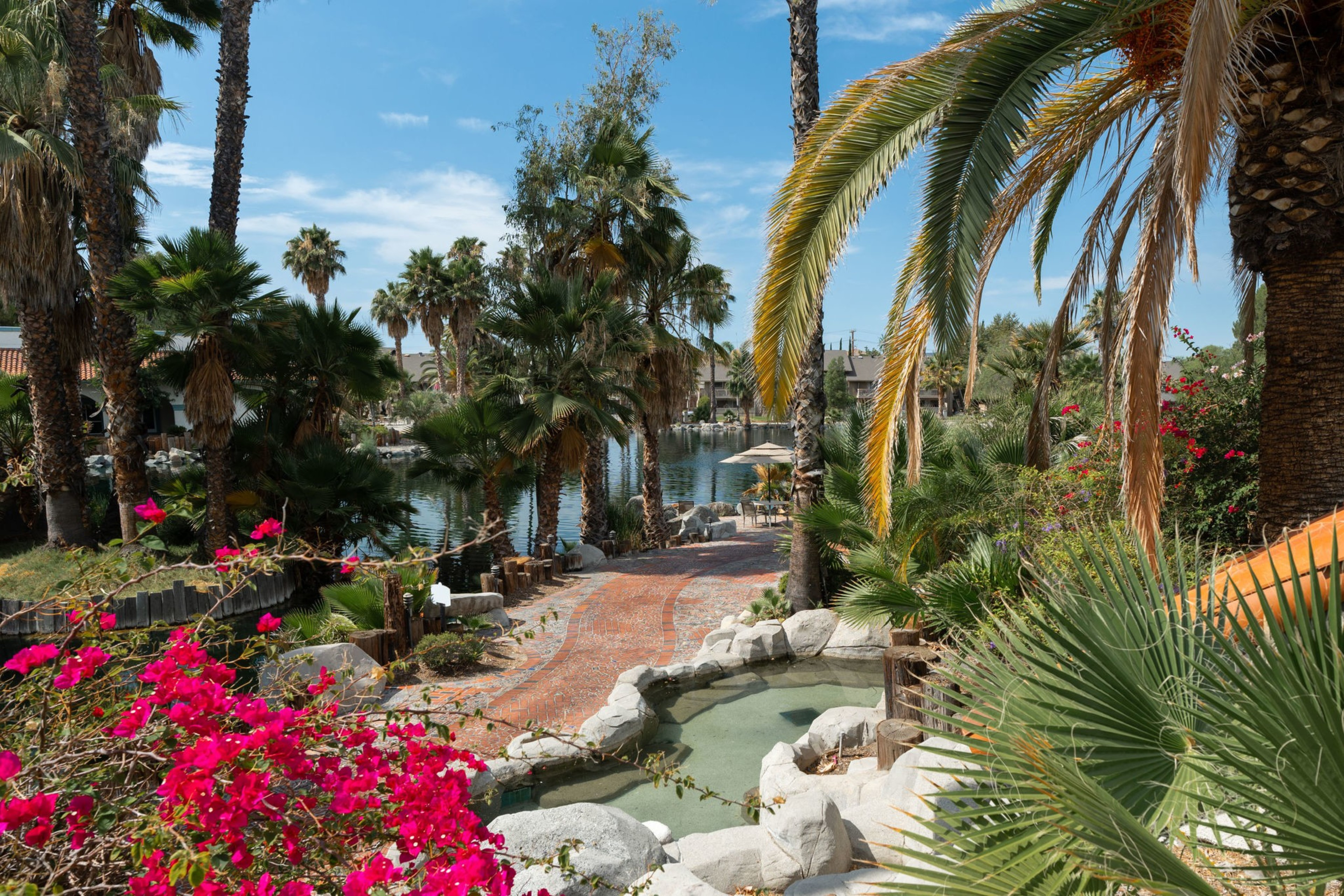 Palm trees and other green and pink plants line a pathway next to a body of water