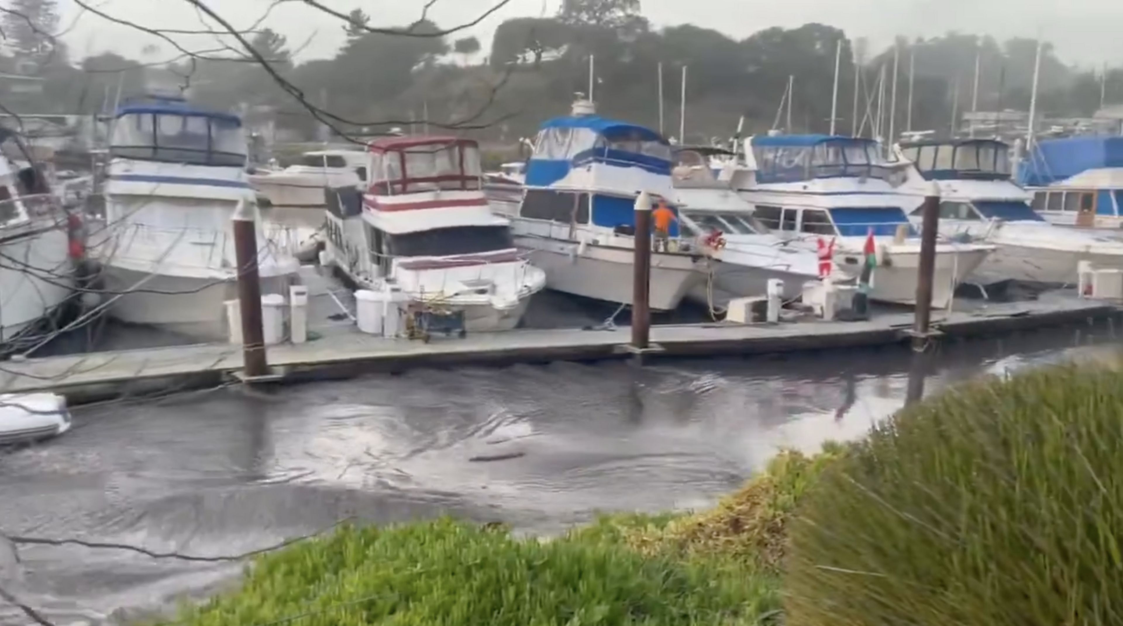 The image shows a marina with several boats docked side by side. The boats have blue and red striped covers. In front, there's green foliage by the water.
