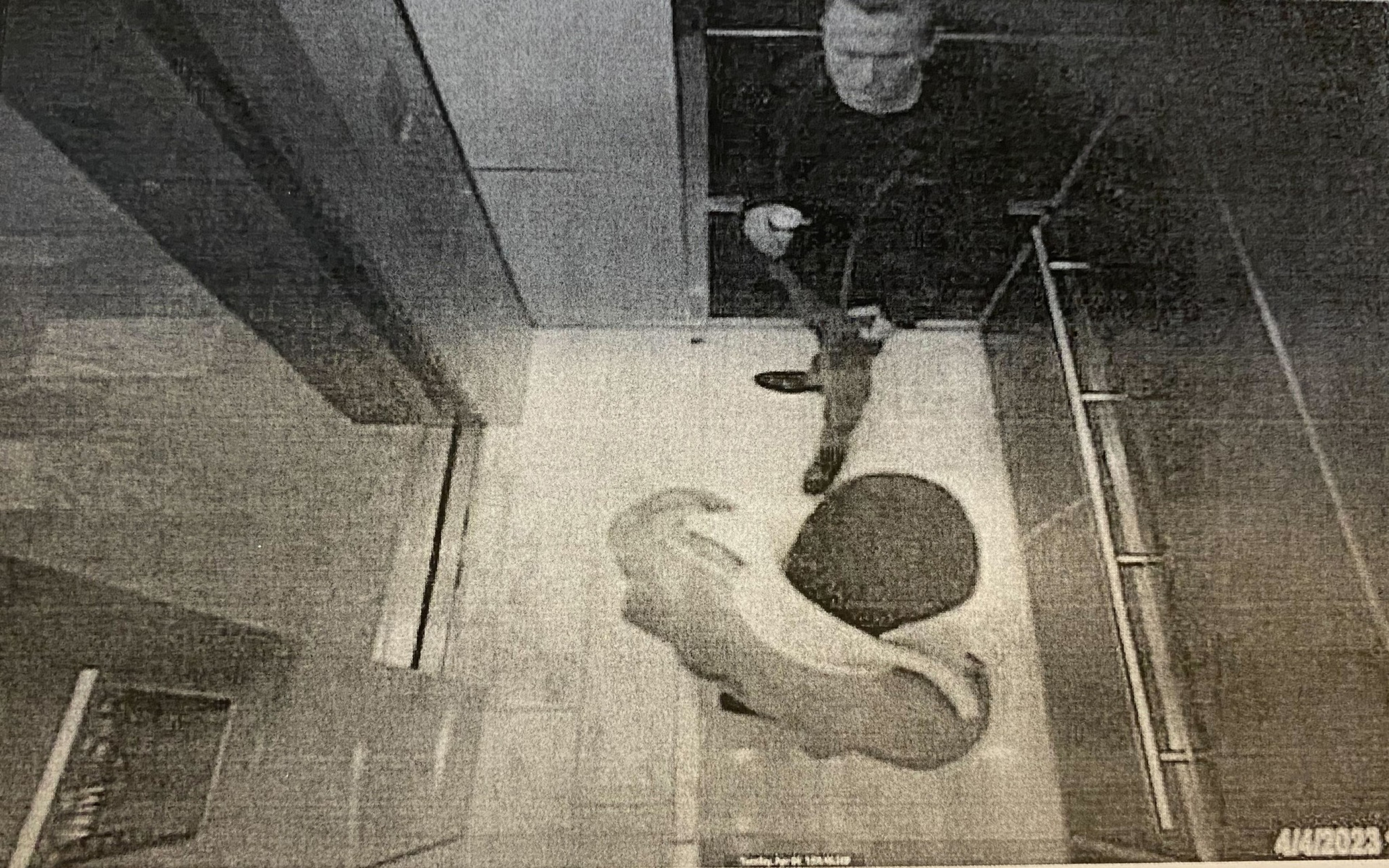 Surveillance photo of Bob Lee and Nima Momeni in an elevator.