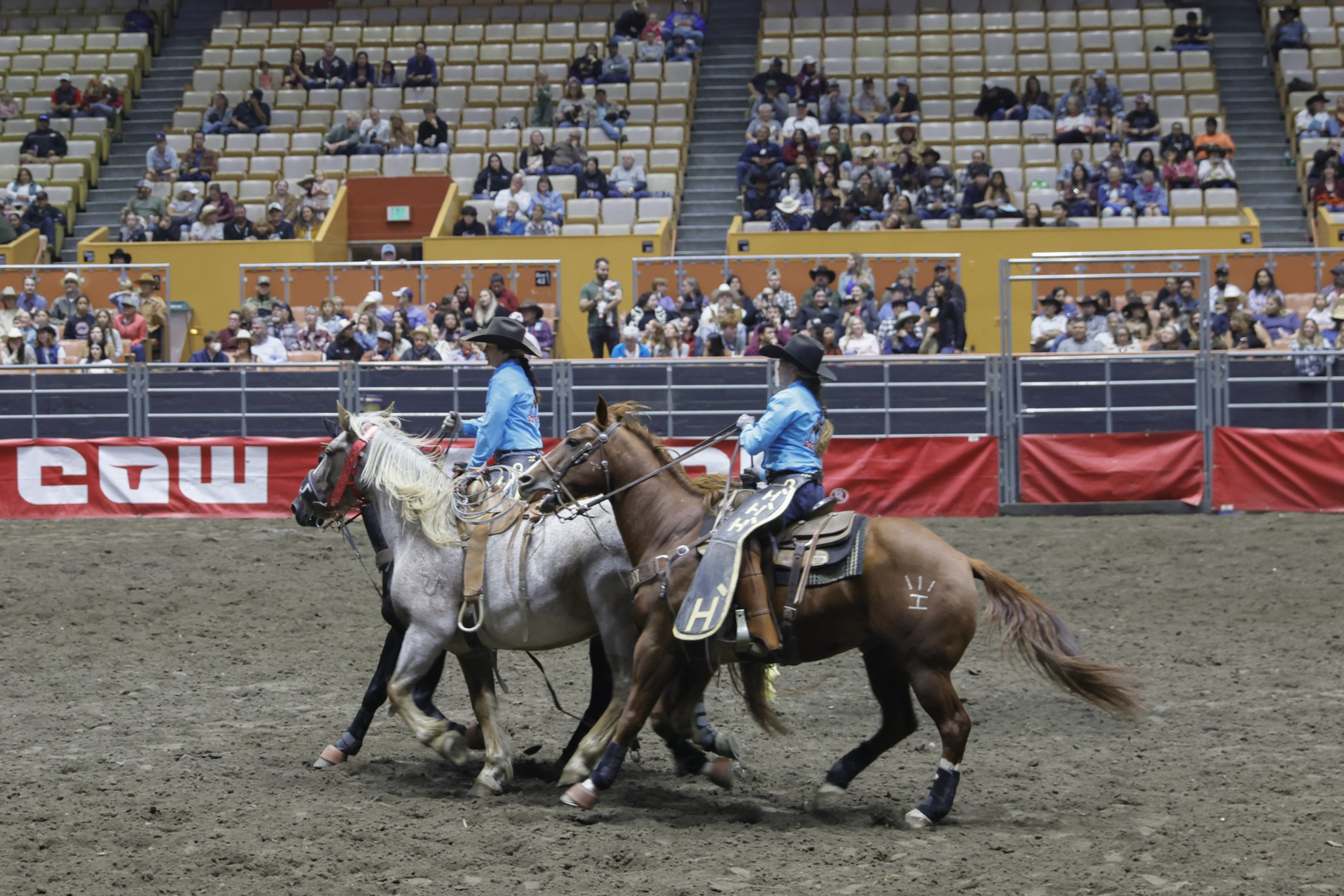 Two riders in blue shirts and black hats ride horses side by side inside an arena with spectators seated in the background.