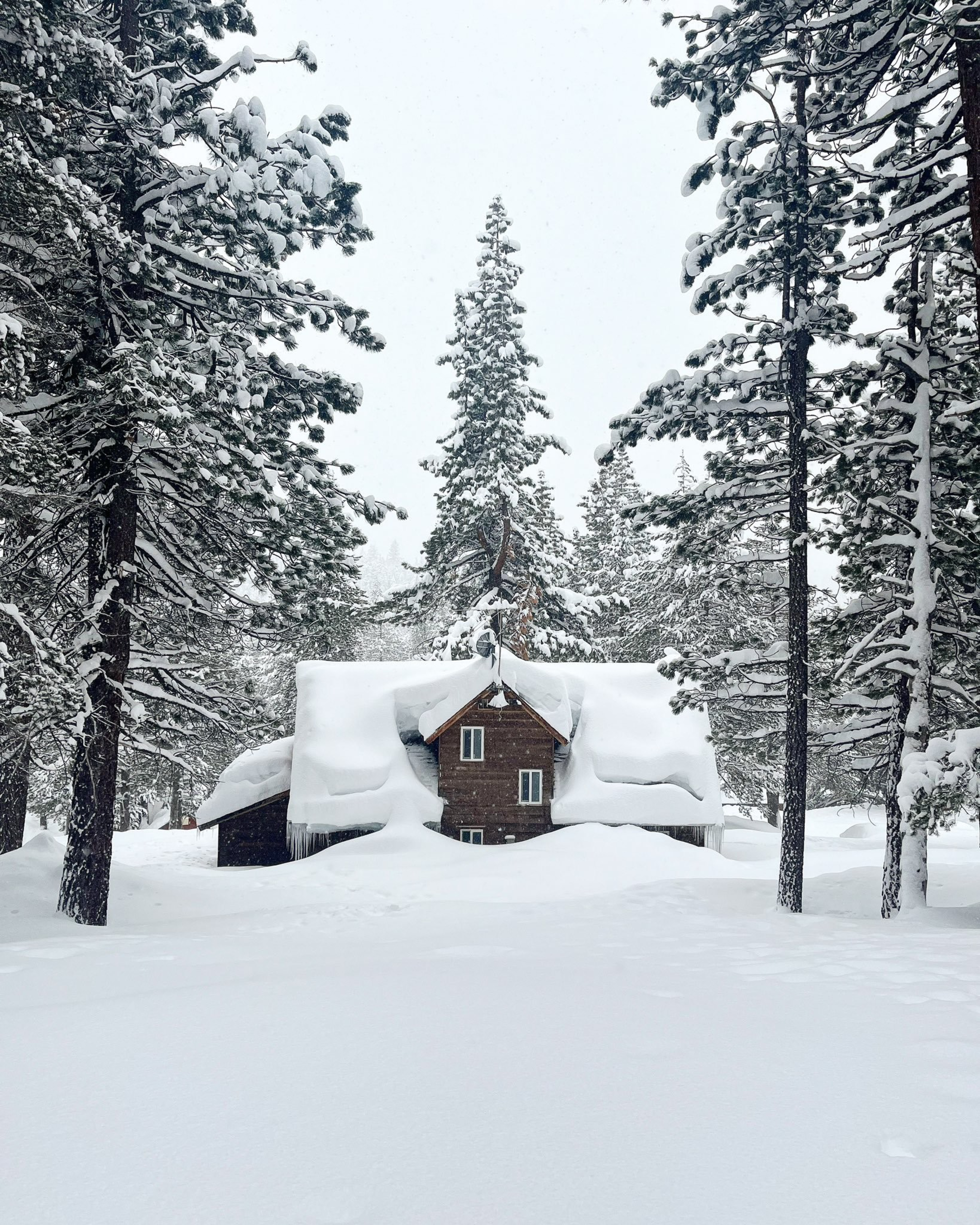 A snow-covered wooden cabin is surrounded by tall pine trees heavily laden with snow in a winter forest.