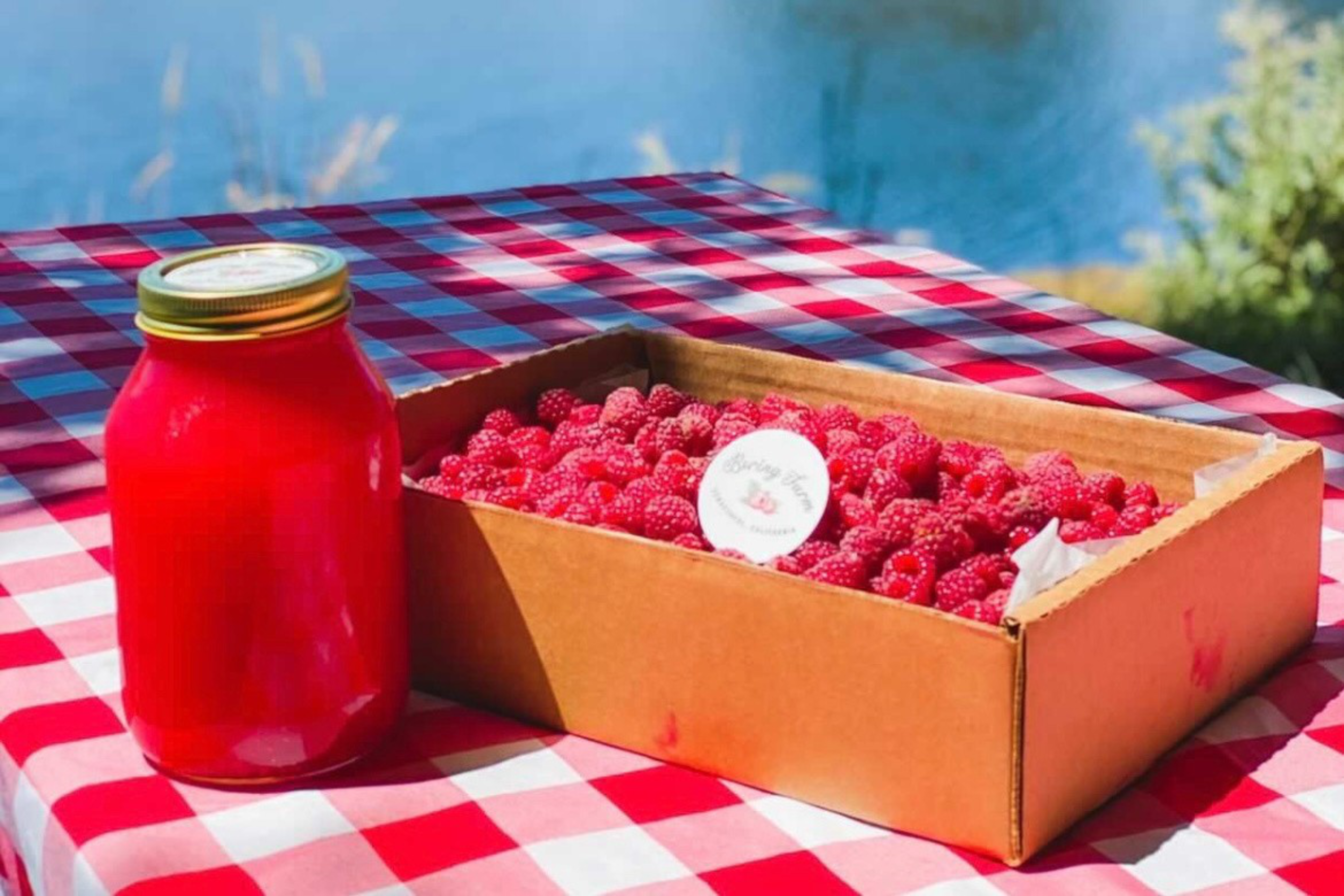 A jar of red liquid and a cardboard box filled with fresh raspberries sit on a red-and-white checkered tablecloth near a body of water.