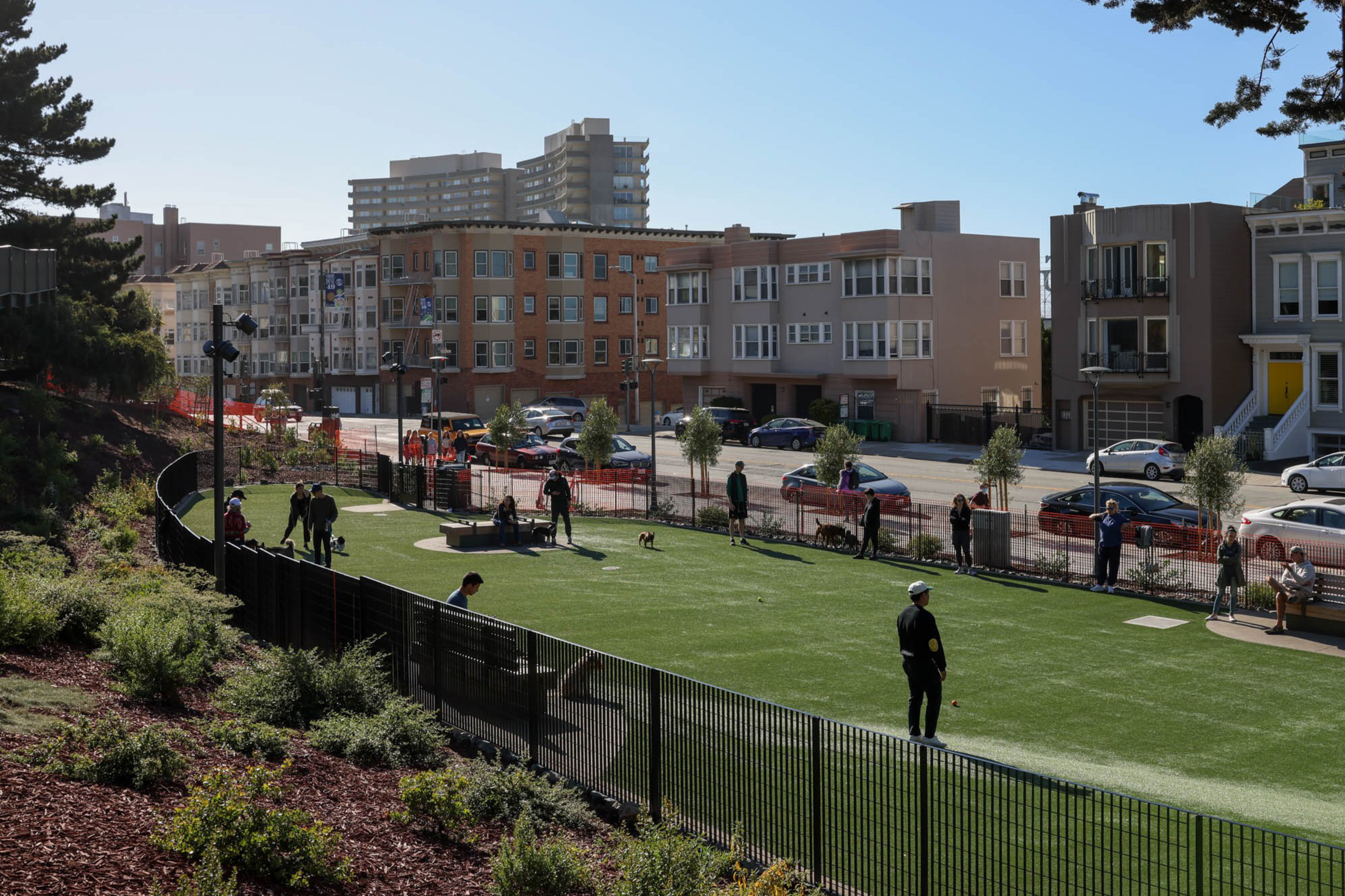 Dog owners and their dogs walk around Francisco Dog Park in San Francisco’s Russian Hill neighborhood on Friday, July 22, 2022.