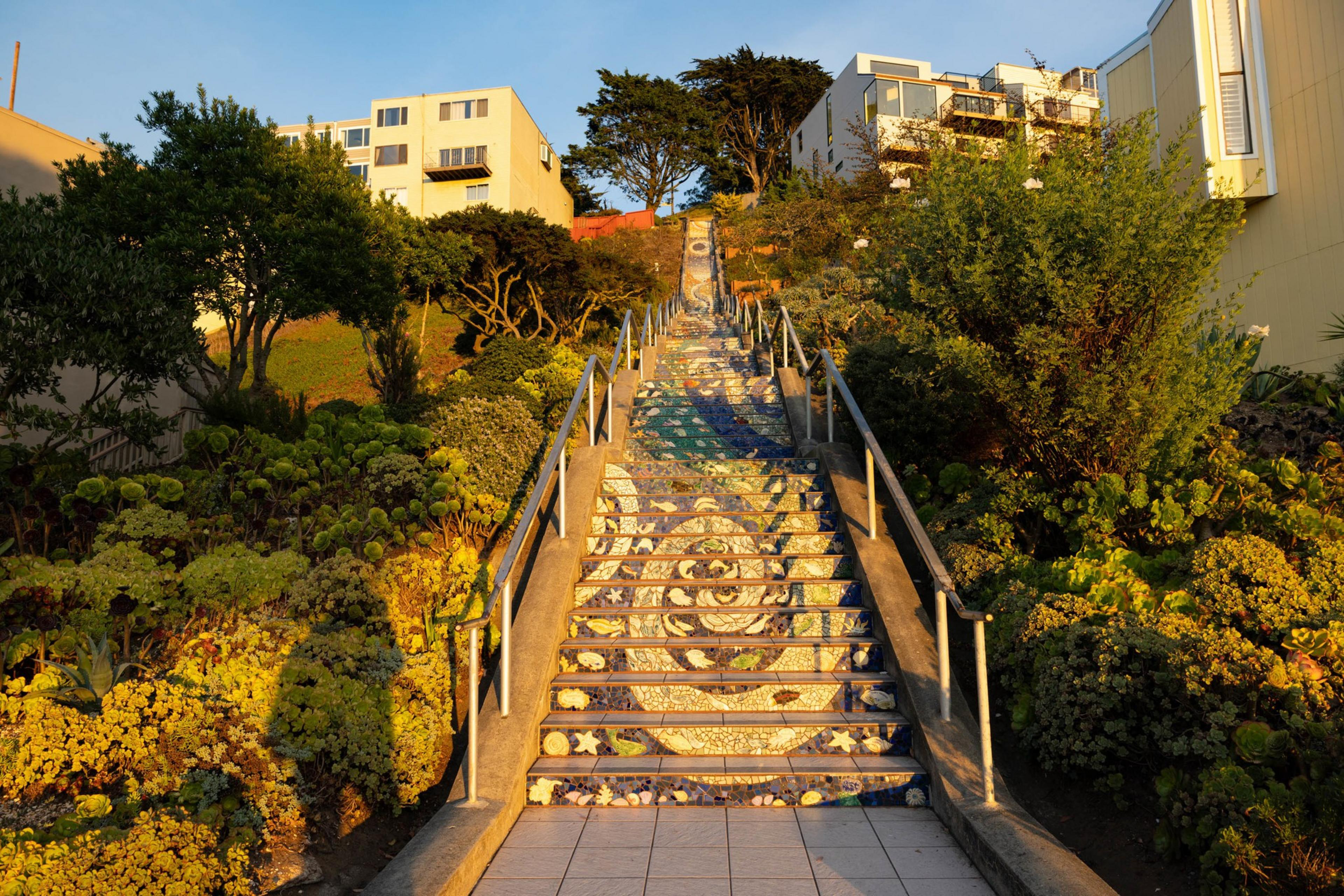 The sun hits a long tiled staircase with lush vegetation on either side.