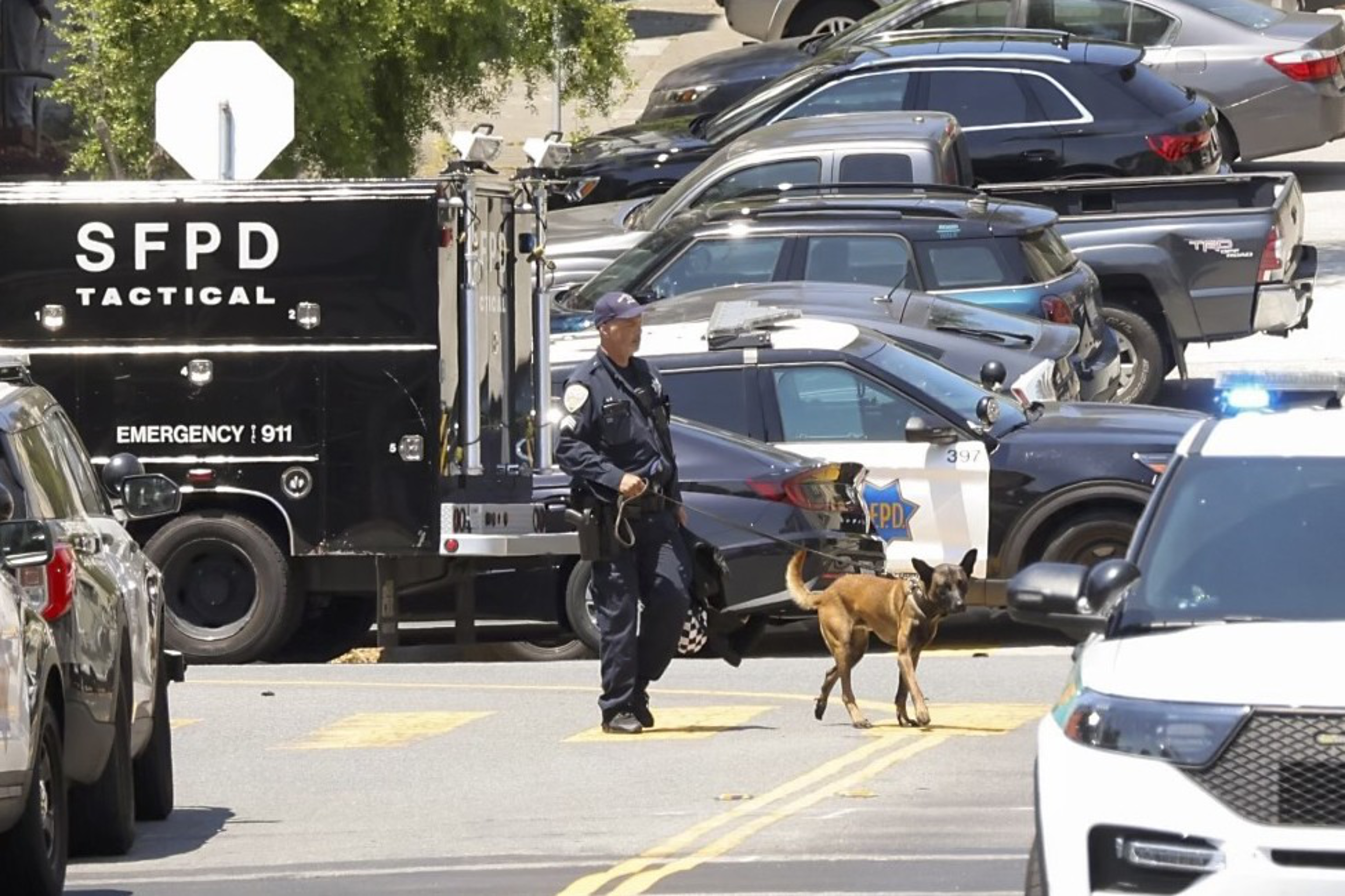A police officer and a K-9 dog walk near SFPD tactical and patrol vehicles on a street. Several parked cars and a white stop sign are in the background.