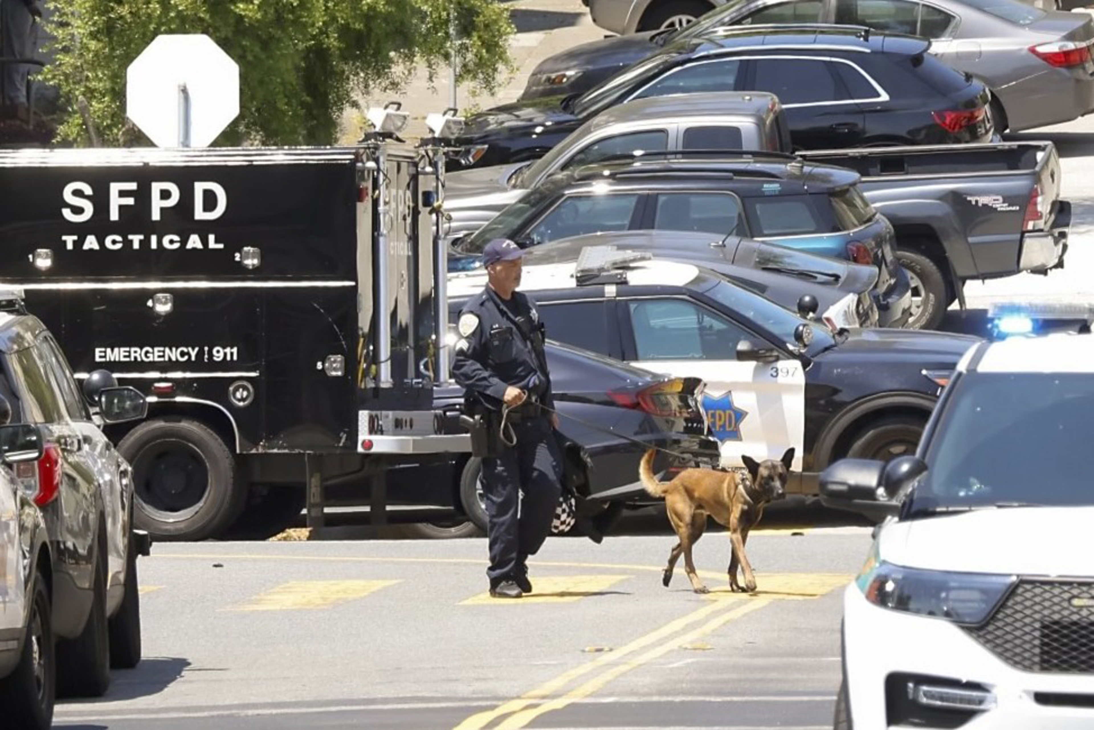 A police officer and a K-9 dog walk near SFPD tactical and patrol vehicles on a street. Several parked cars and a white stop sign are in the background.