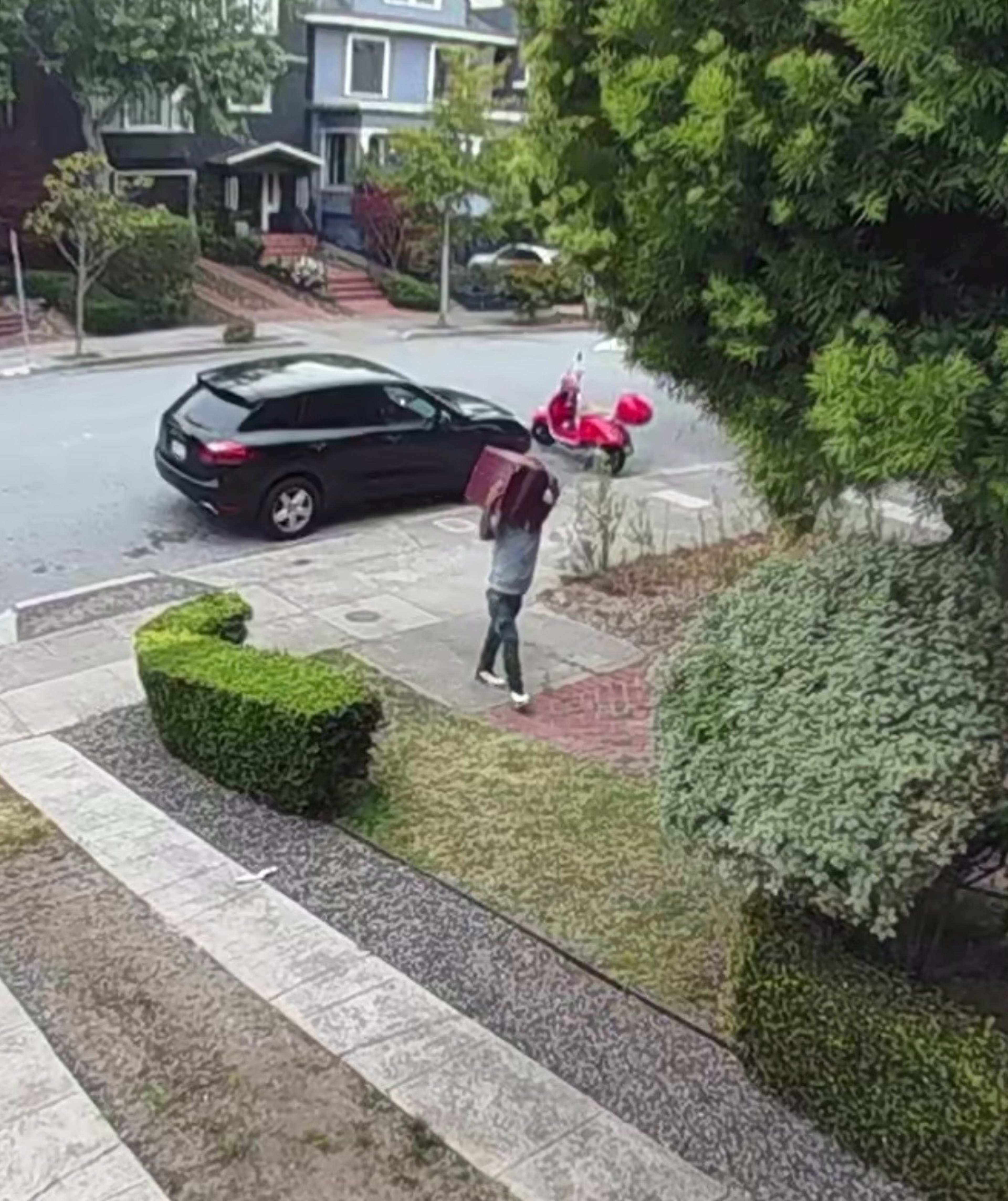 A person walks on a sidewalk carrying a large red box on their shoulder, passing trimmed bushes and trees near a residential street with parked cars.