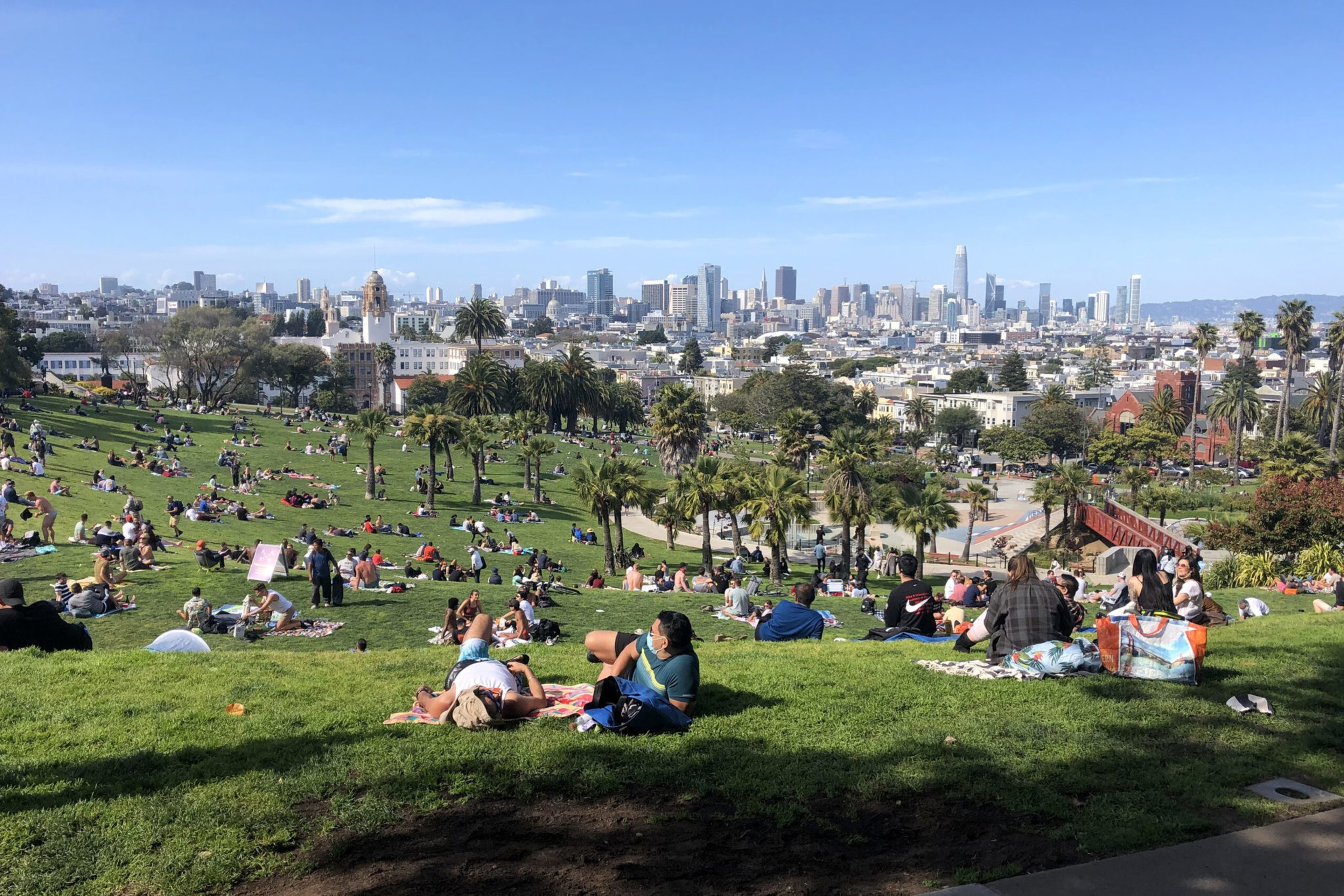 People relax and picnic on a sunny hillside park with palm trees, overlooking a sprawling city skyline under a clear blue sky.