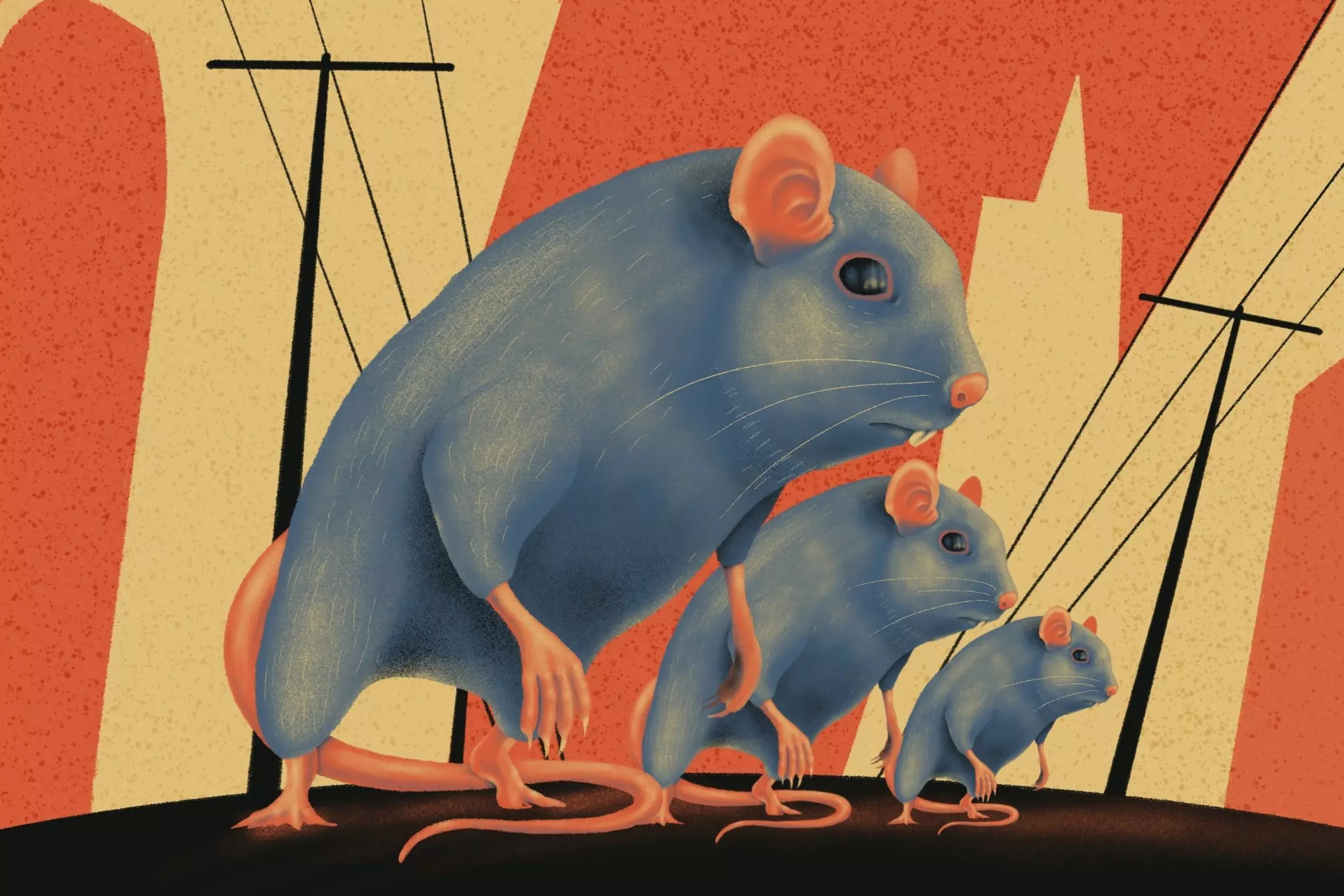 ‘Infinite sea of rats’: SF’s rodent population may be exploding
