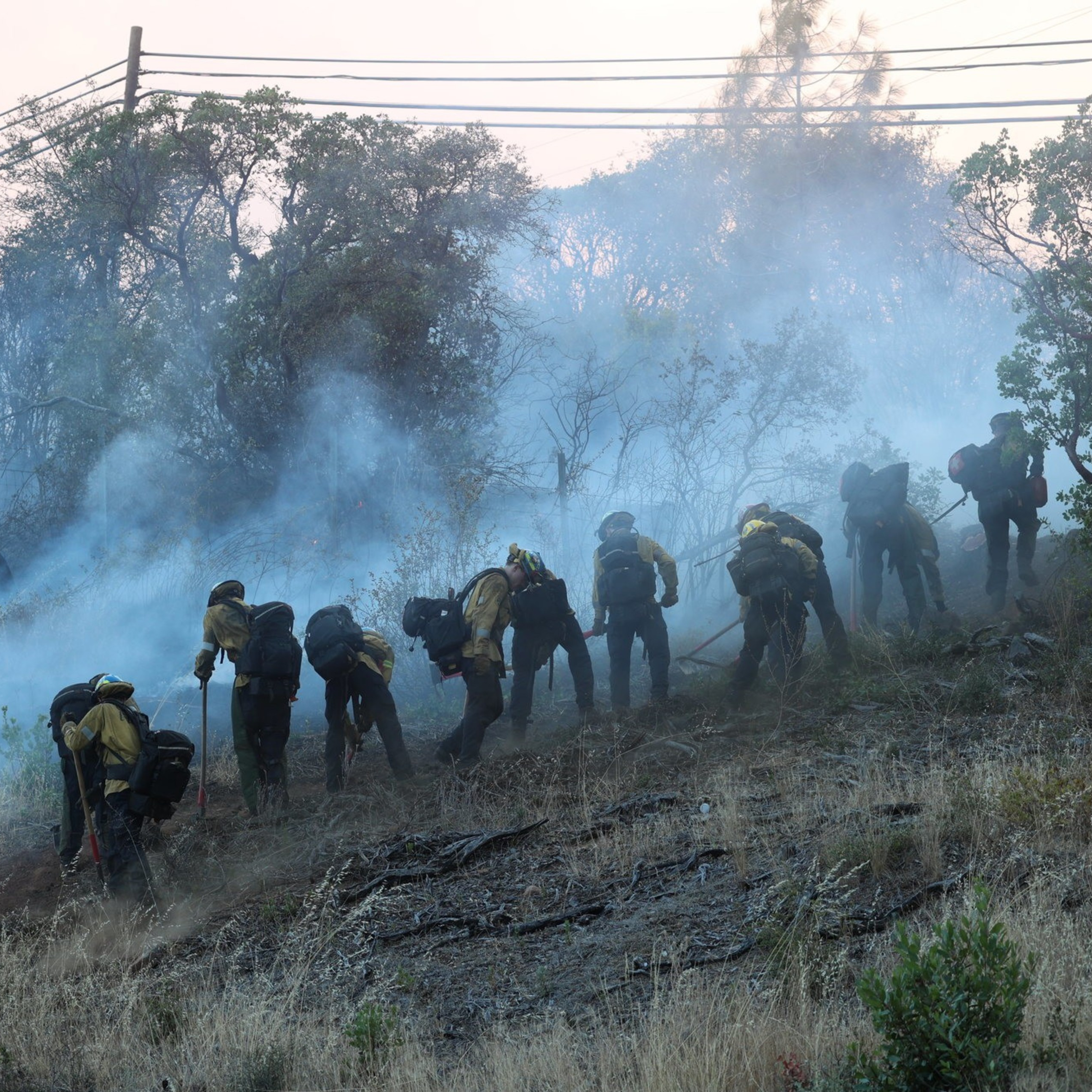 Wildland firefighters in protective gear work in a smoky, wooded area, digging and managing underbrush to control a fire.