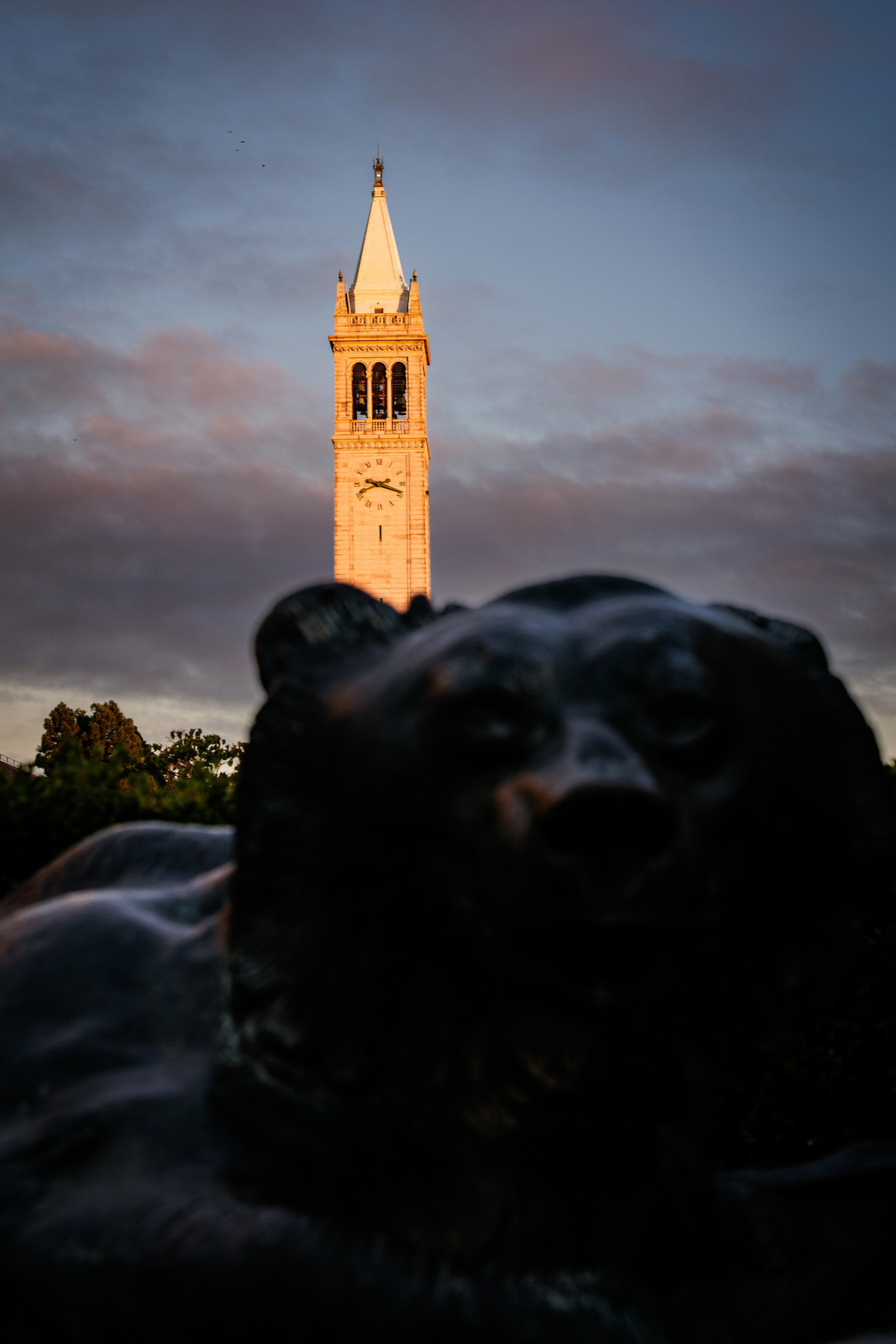 A tall clock tower bathed in warm light stands against a cloudy sky, with a dark, blurred bear statue in the foreground.